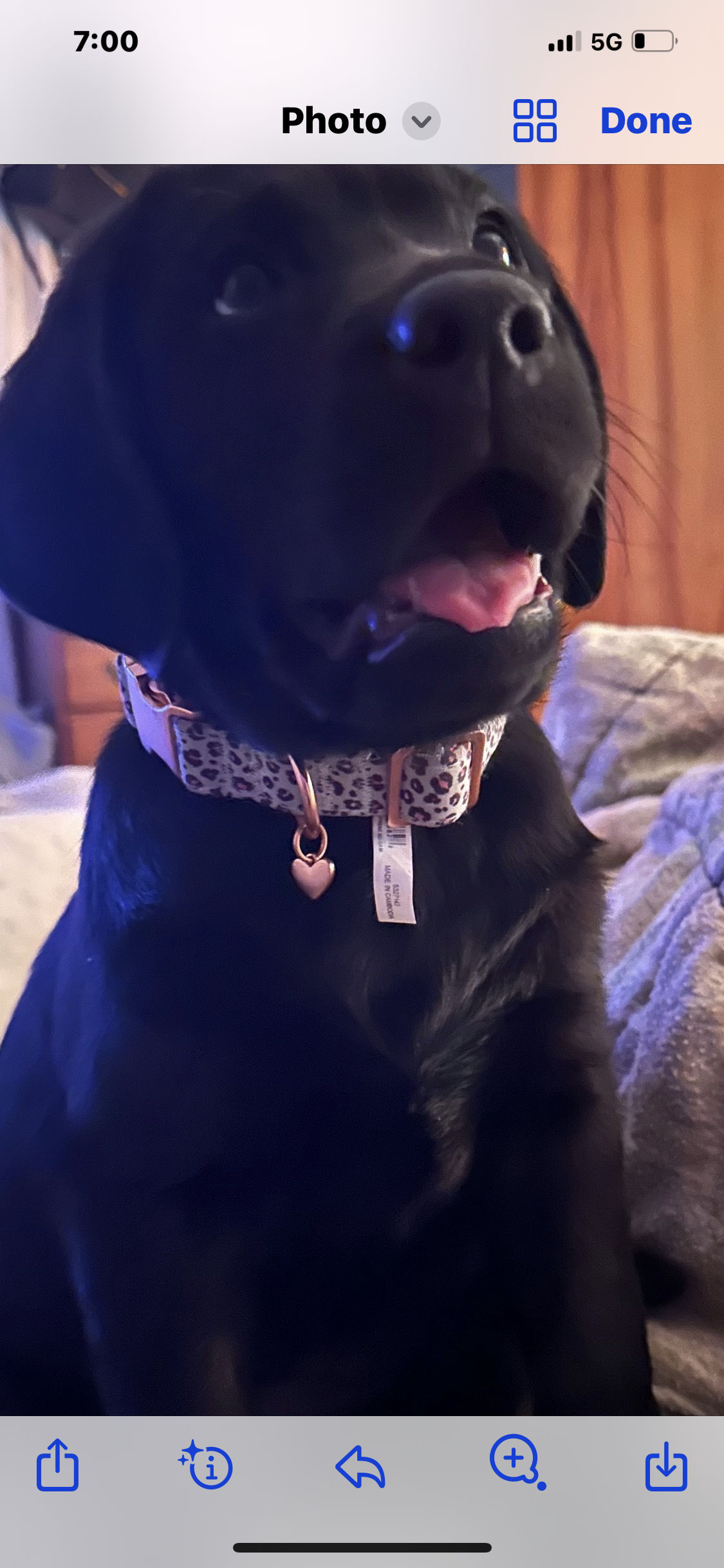 Photo Review Submission from Hope Orwig