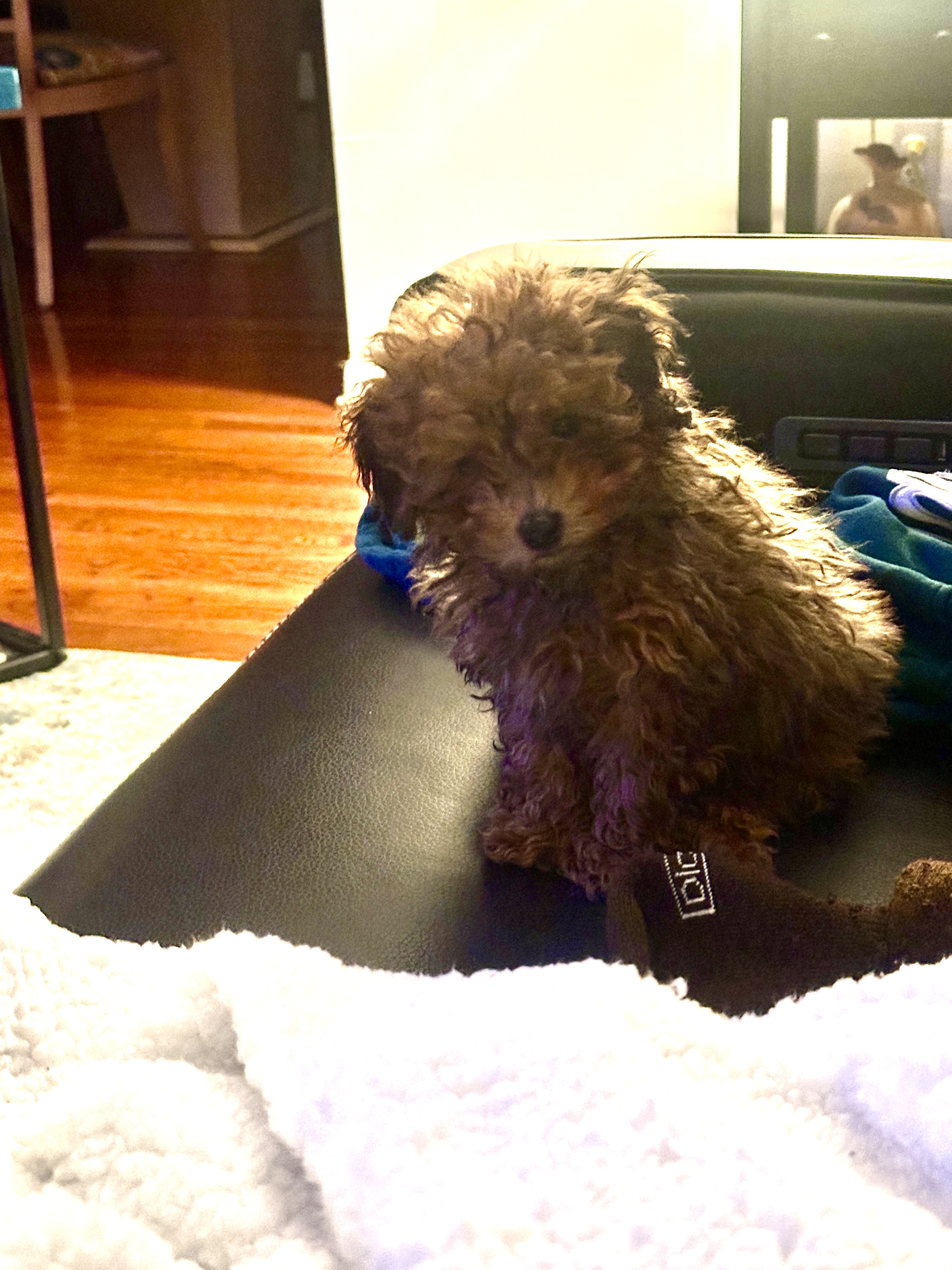 Photo Review Submission from Stacey Ellis