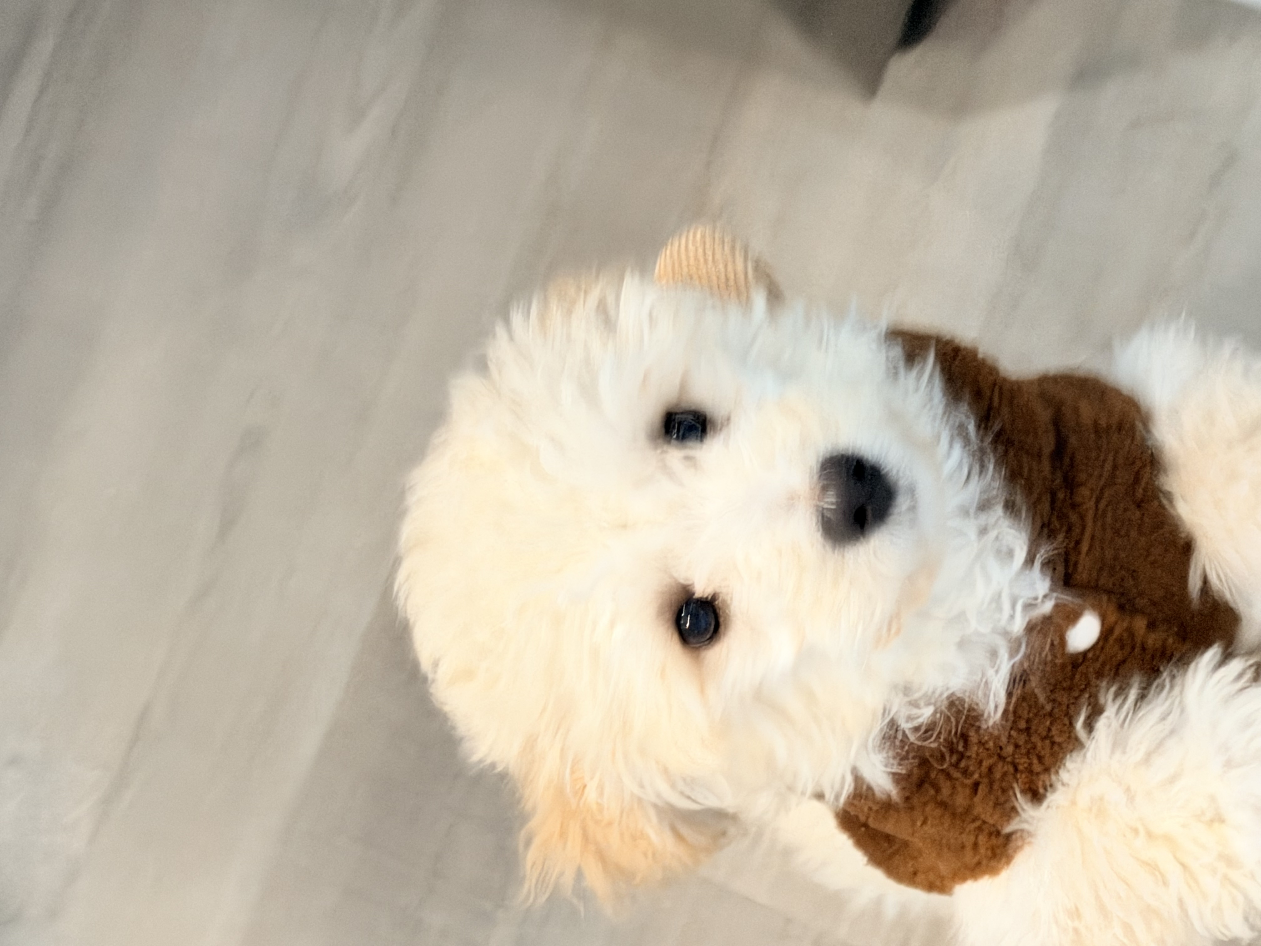 Photo Review Submission from Qikun S