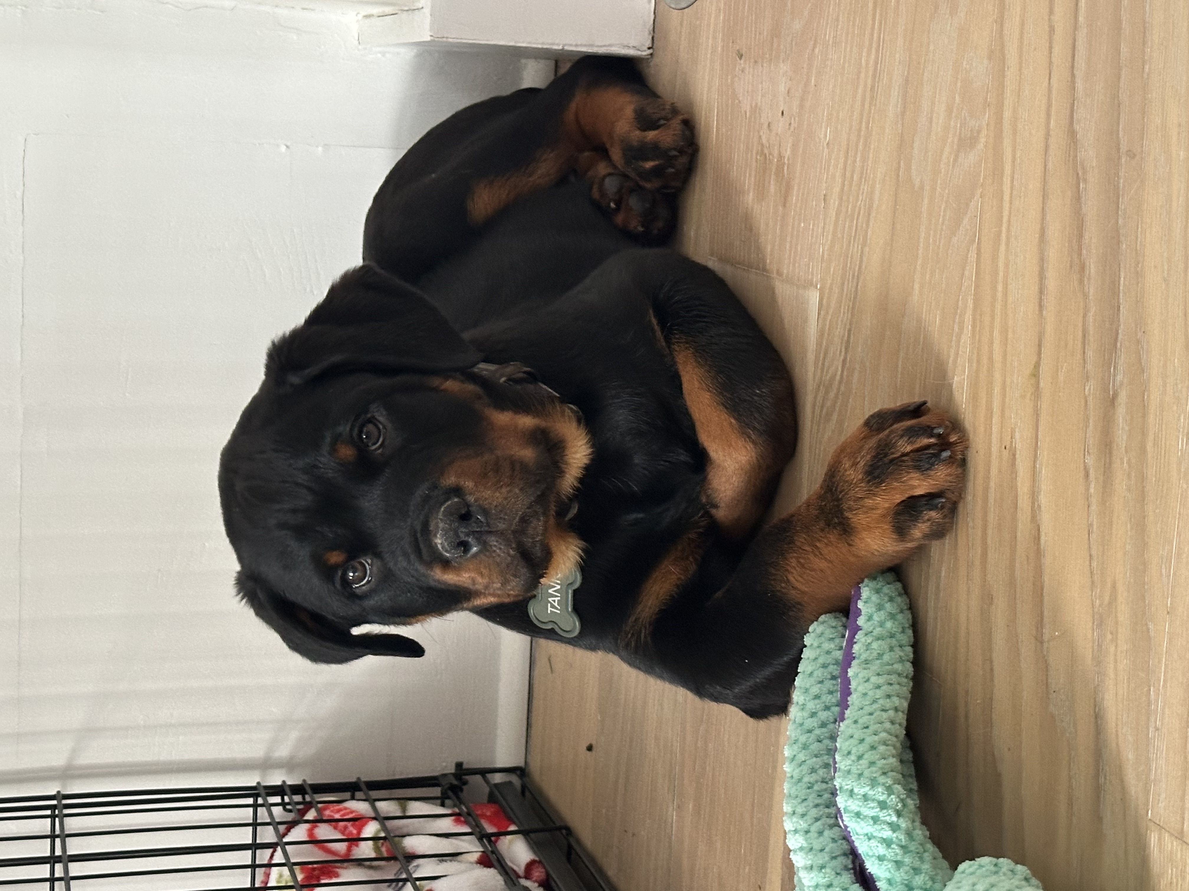 Photo Review Submission from breonna brennan