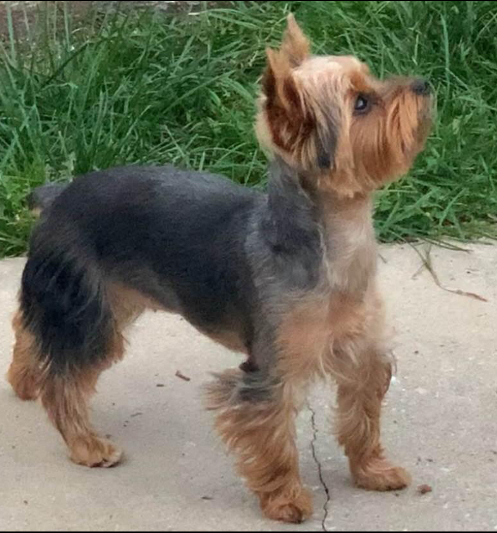 Photo Review Submission from Justeen Owens