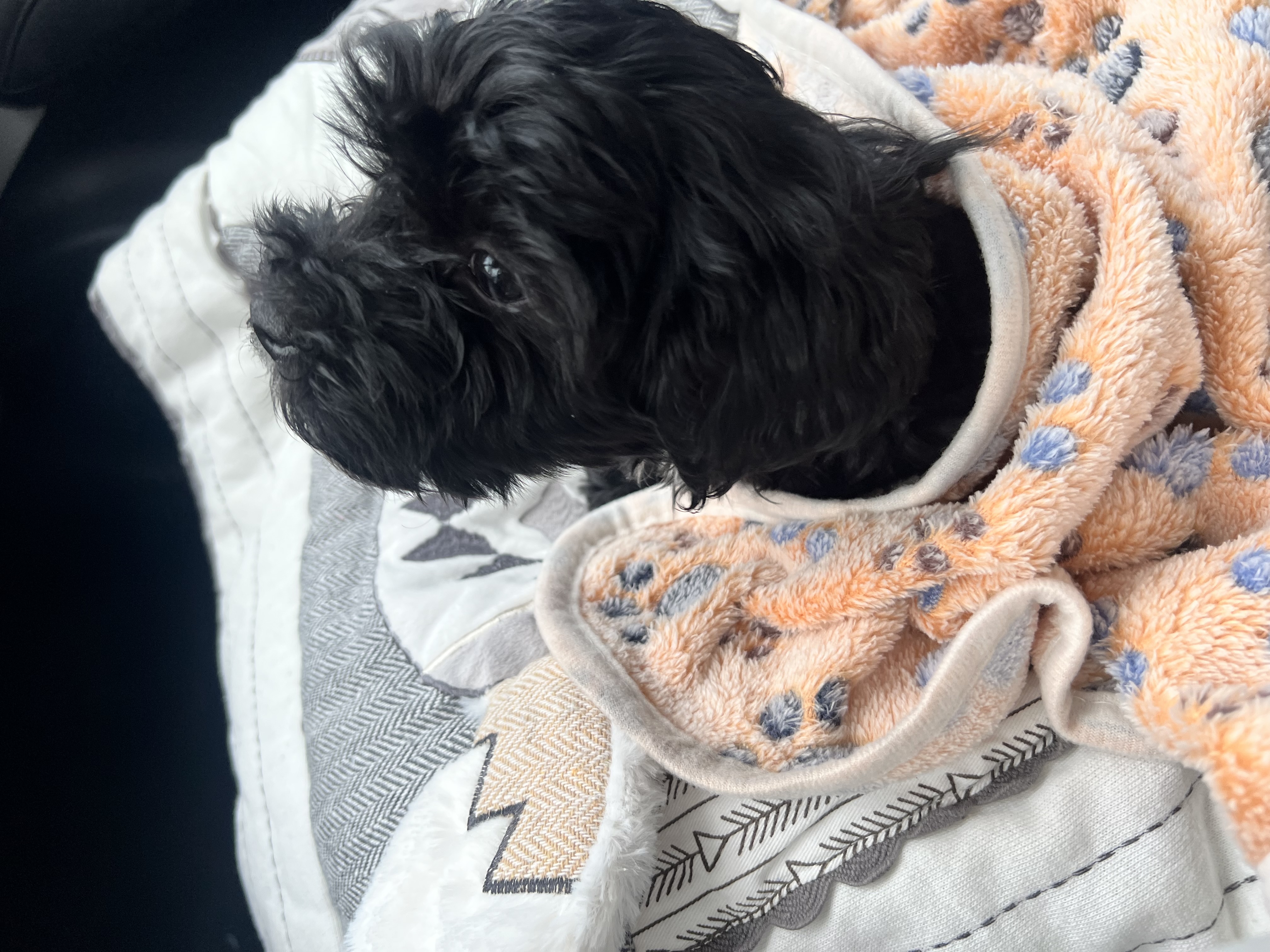 Photo Review Submission from Jenny Coerbell