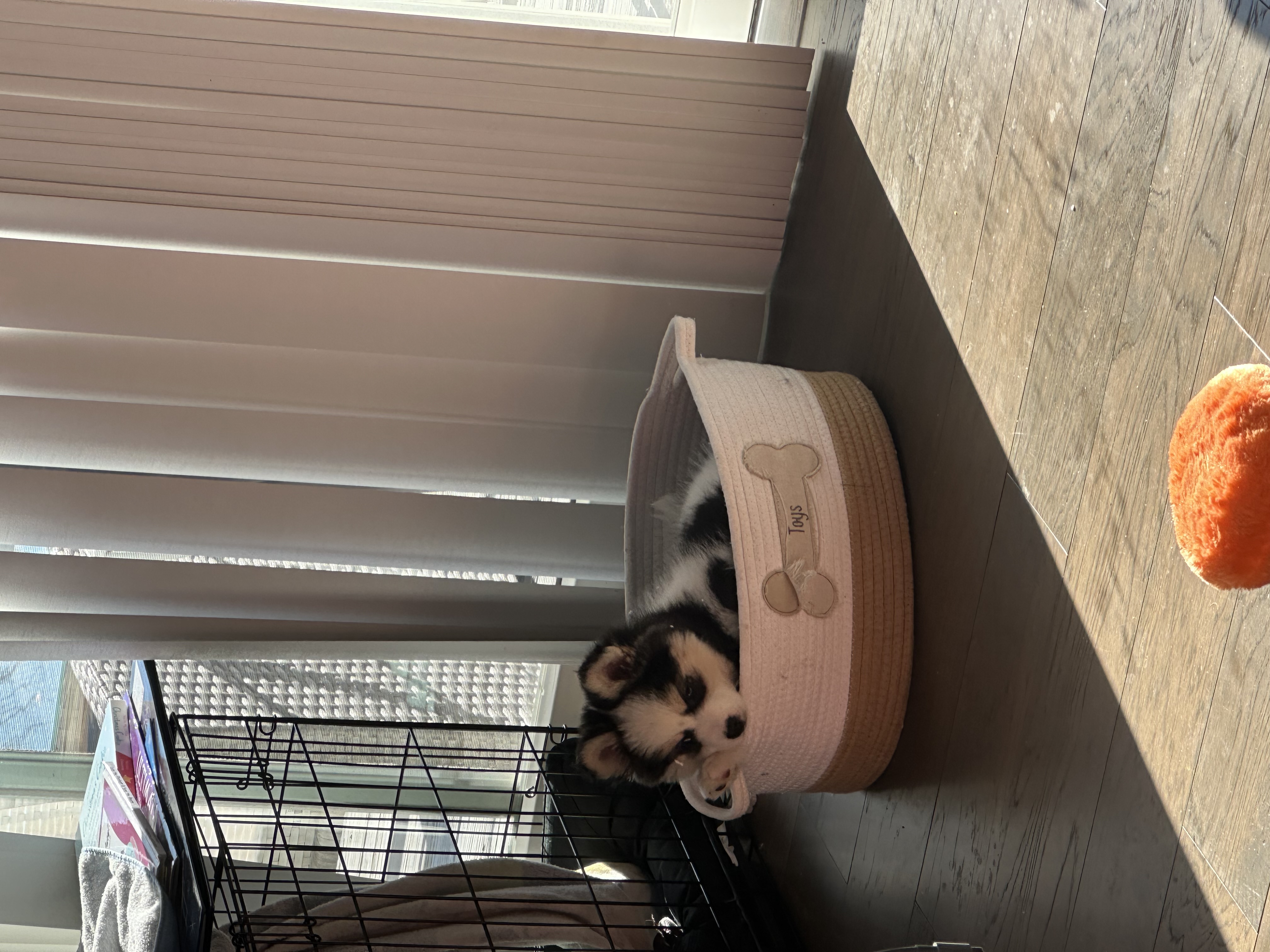 Photo Review Submission from Barbara Picaz