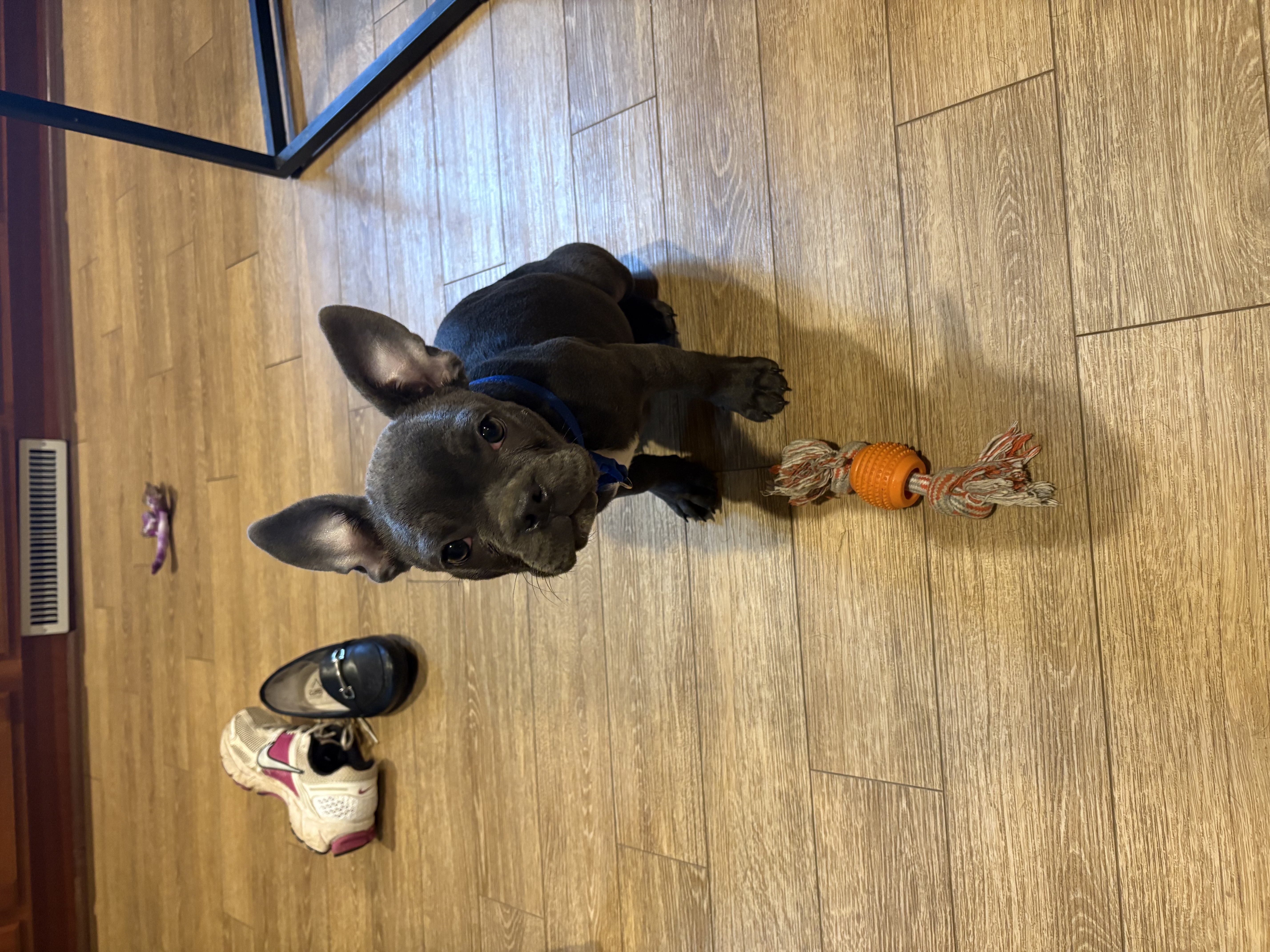 Photo Review Submission from Diane Bennett