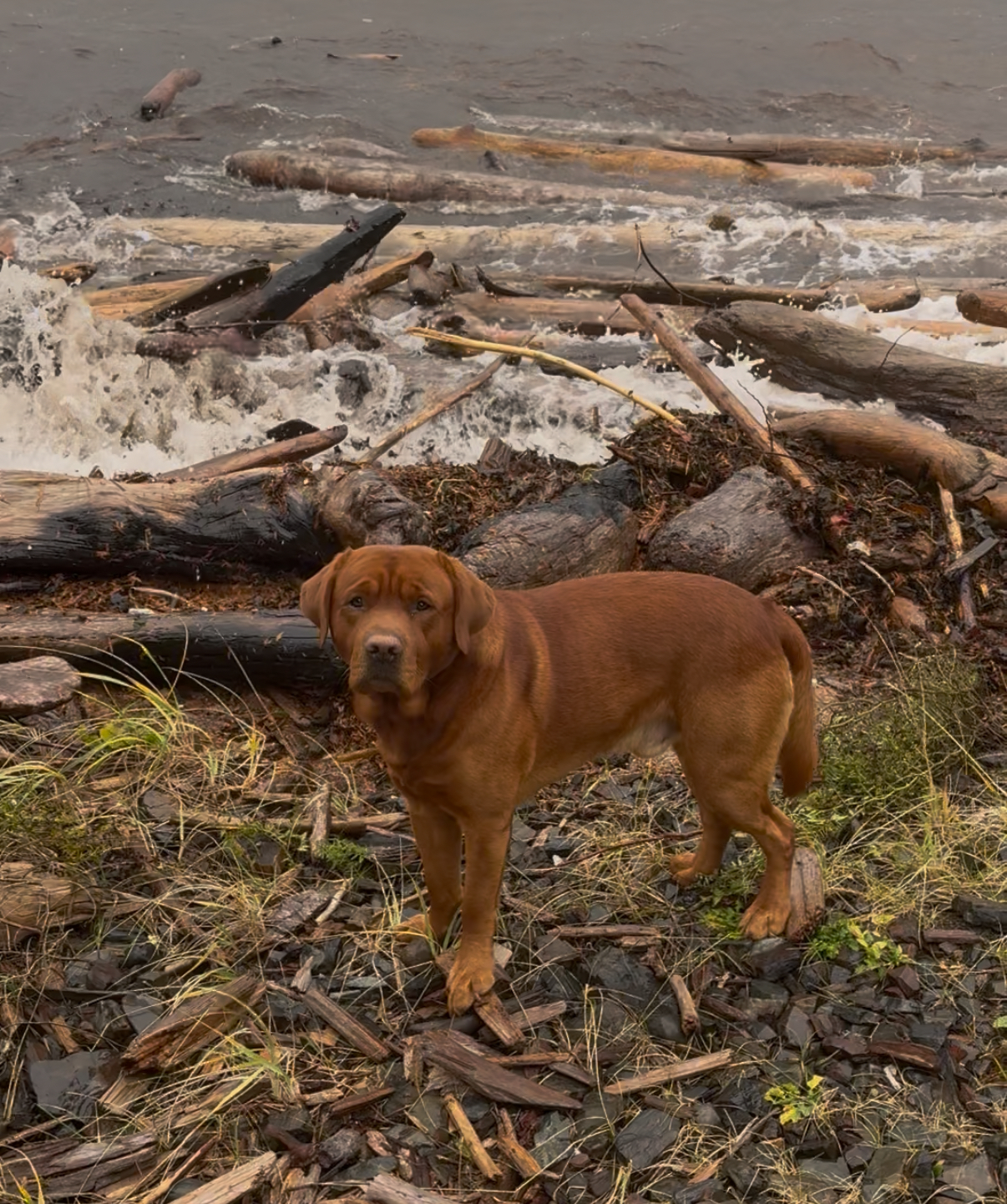 Photo Review Submission from Lani Johnson