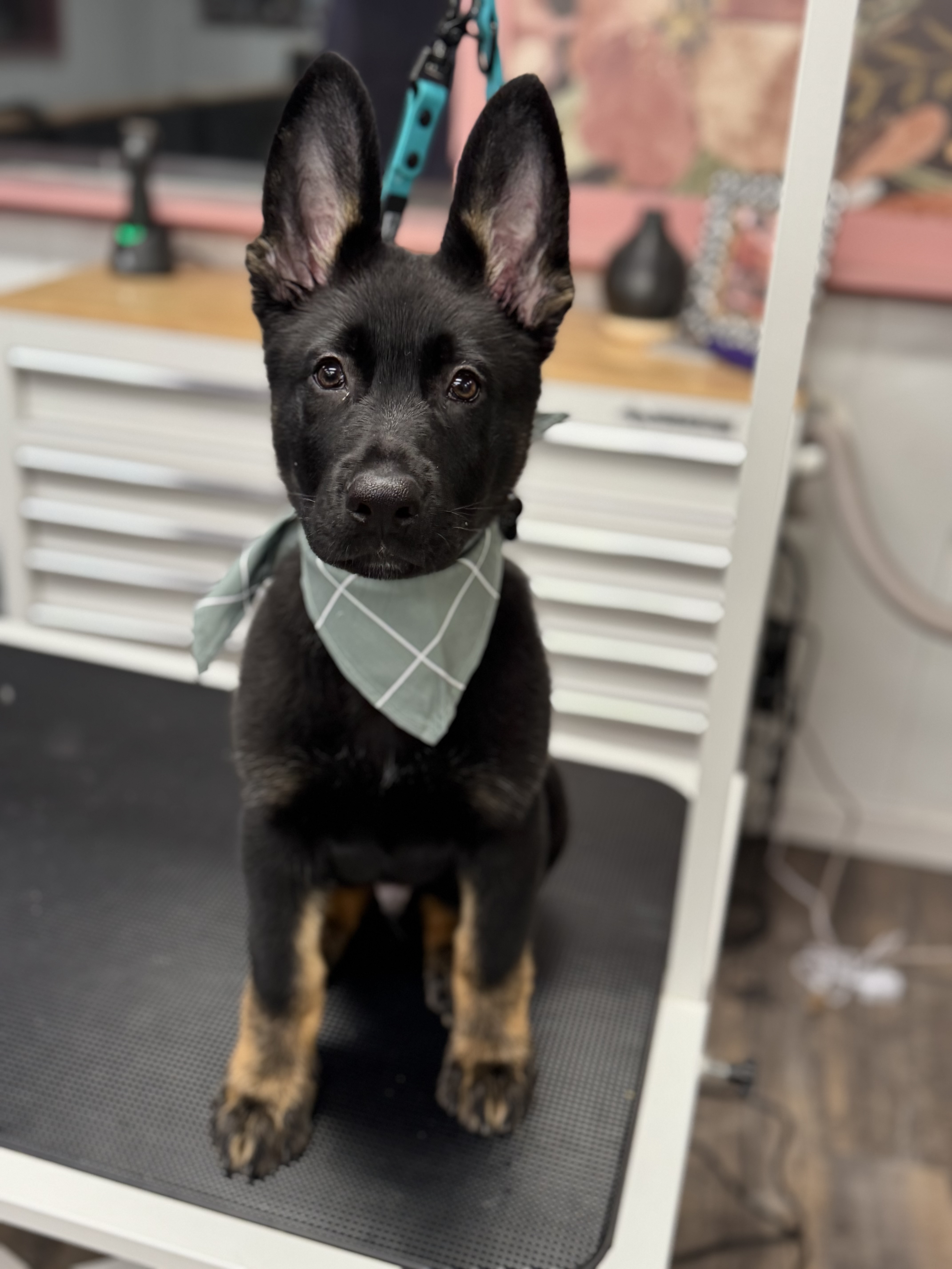 Photo Review Submission from Helena Morrison