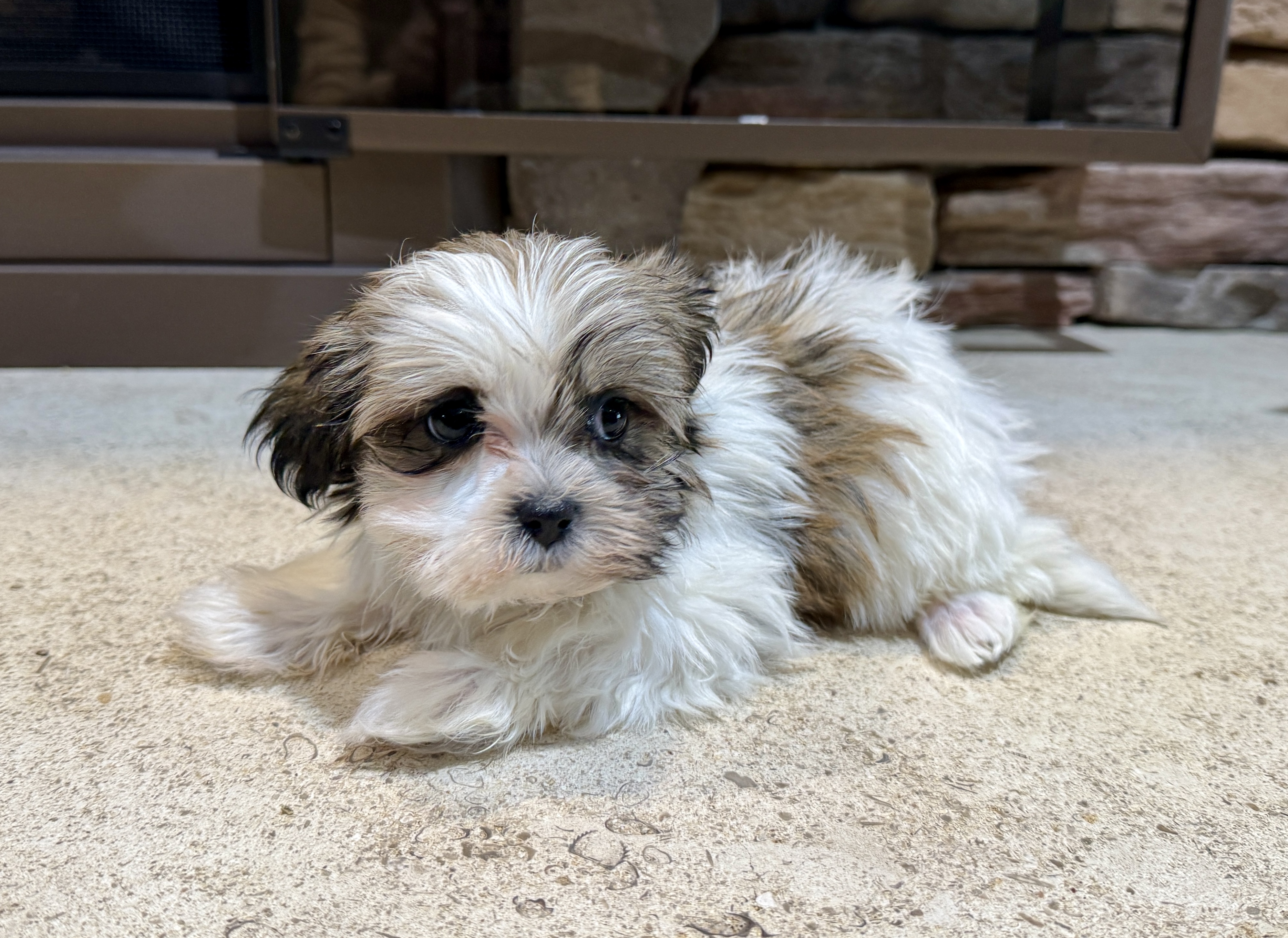 Photo Review Submission from Danielle Petti