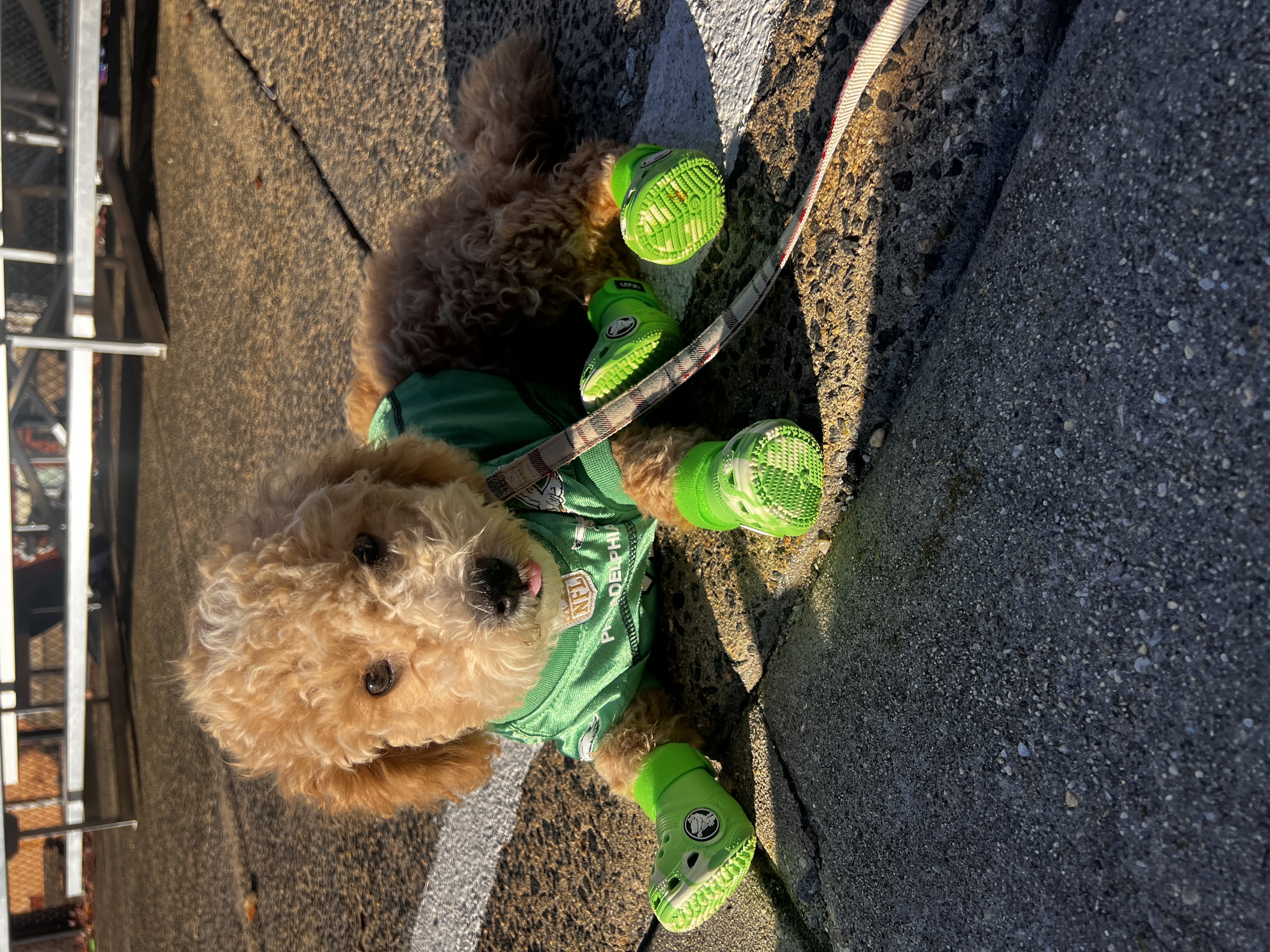 Photo Review Submission from Karen Ngo