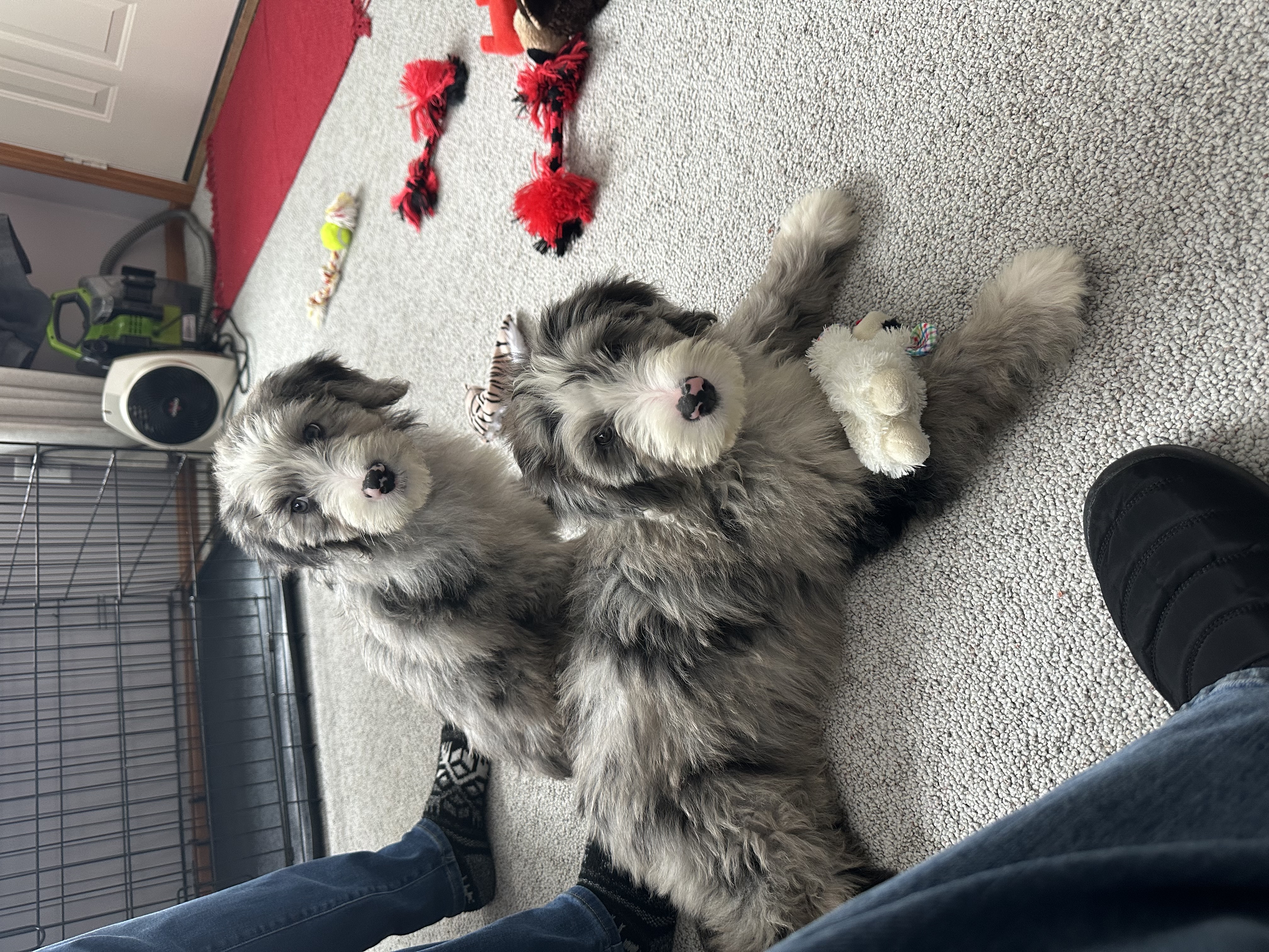 Photo Review Submission from Rick Curry