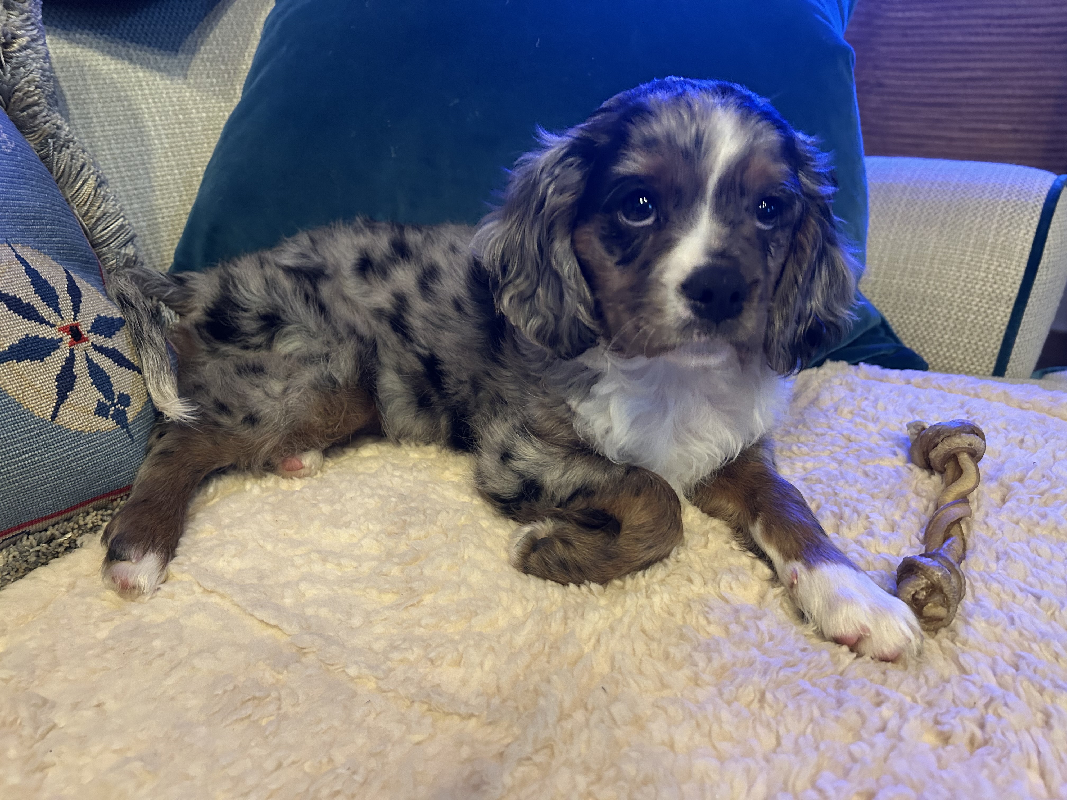 Photo Review Submission from Carol Bietor