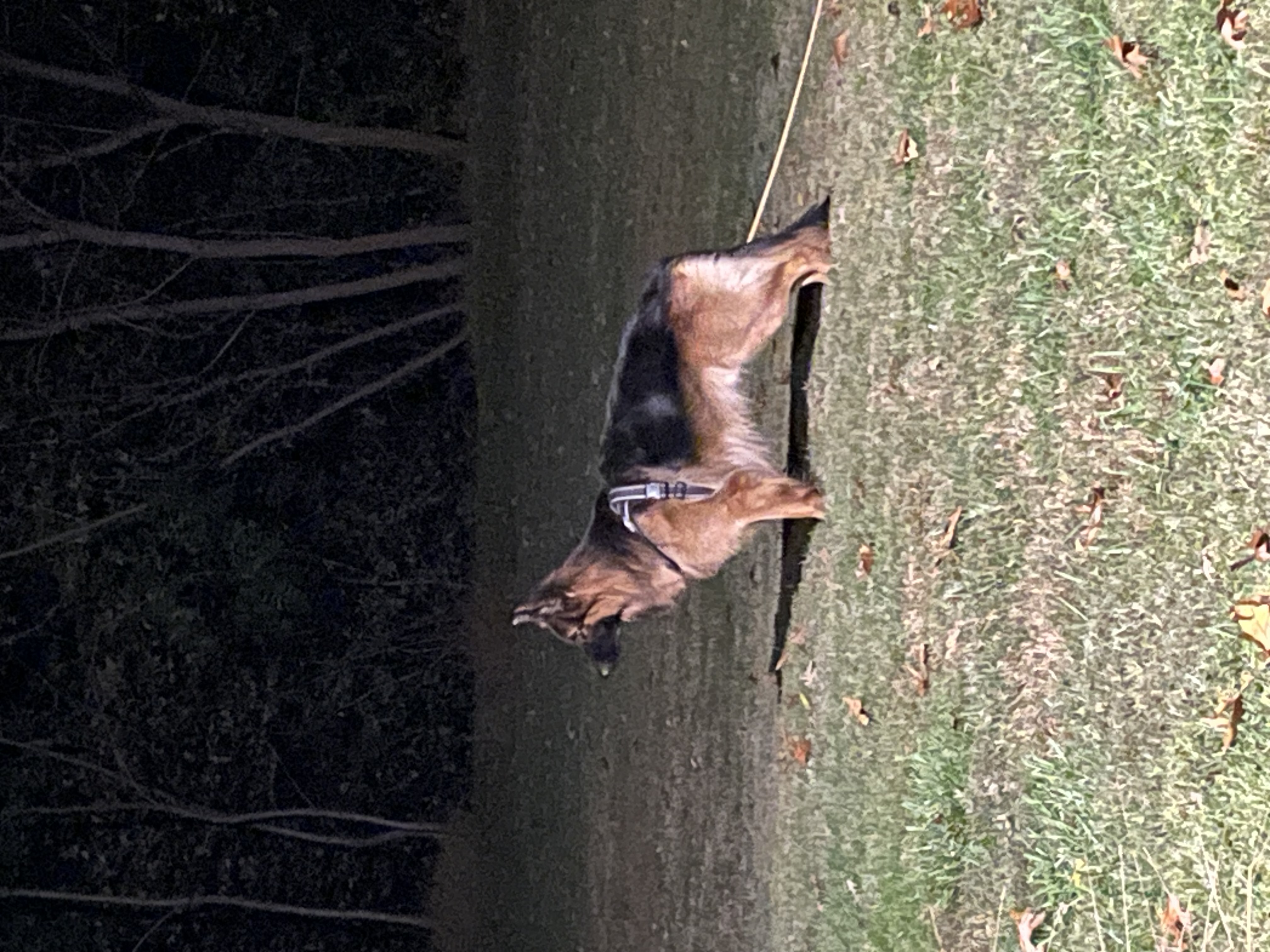 Photo Review Submission from Asrar and Sarah Ahmed