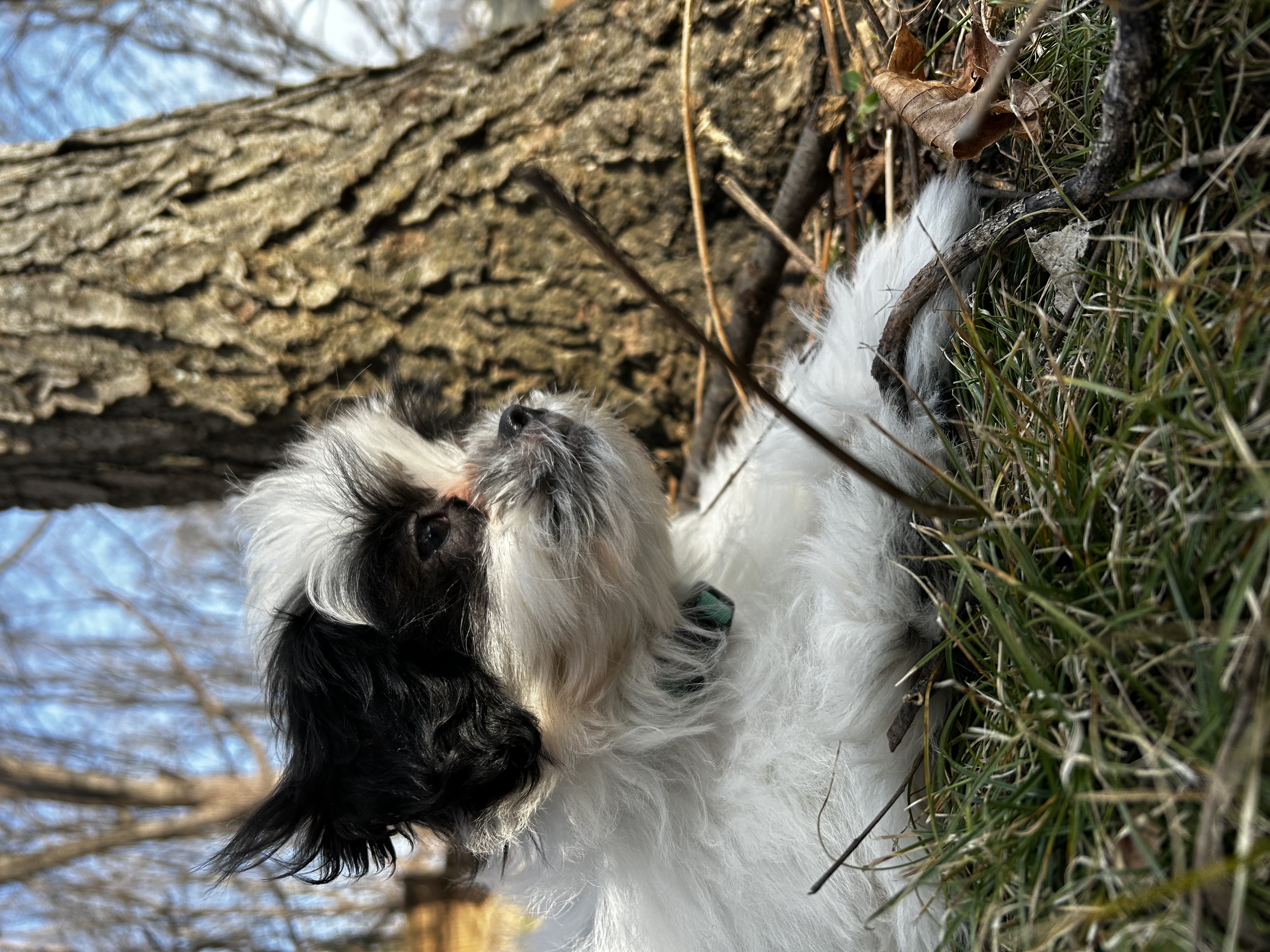 Photo Review Submission from Cate Tillack