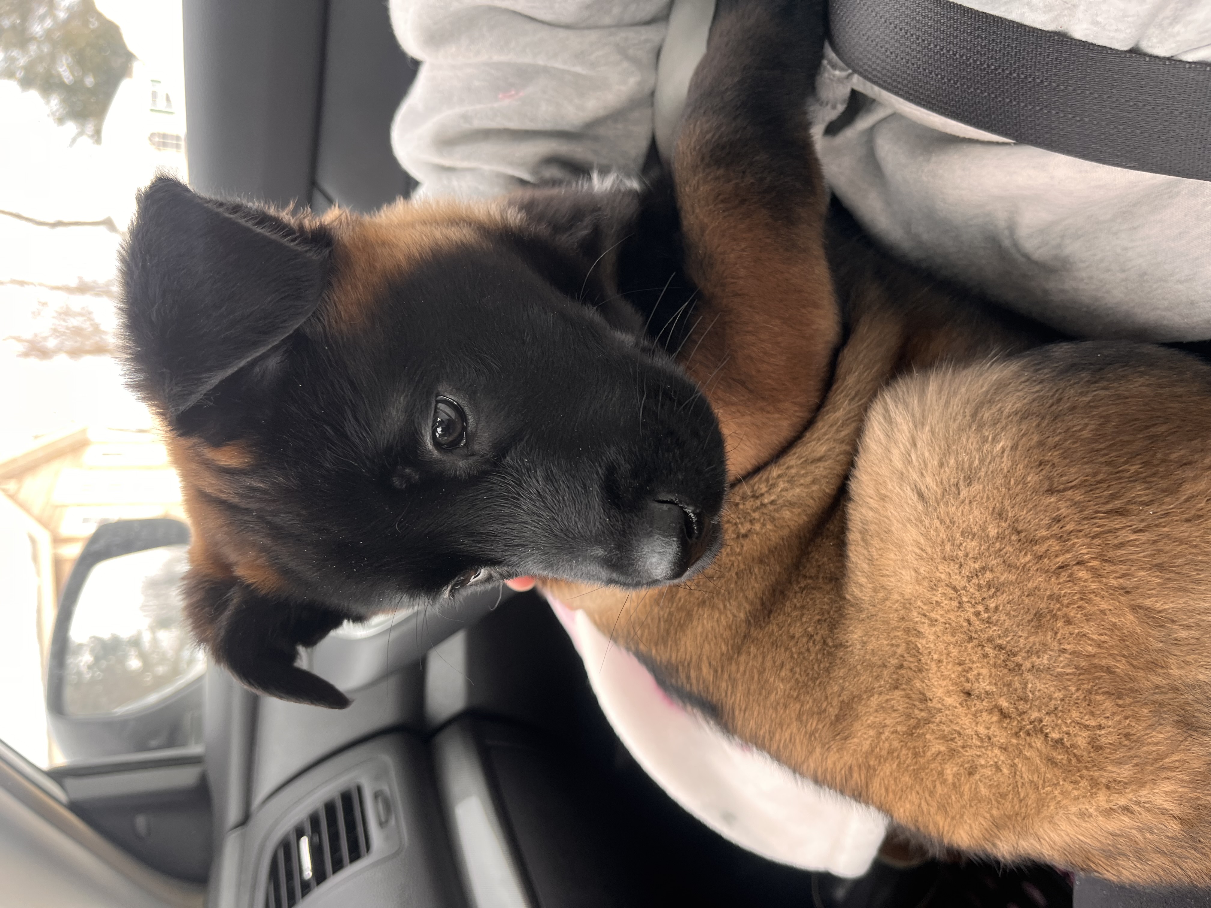 Photo Review Submission from Elyssa Brown