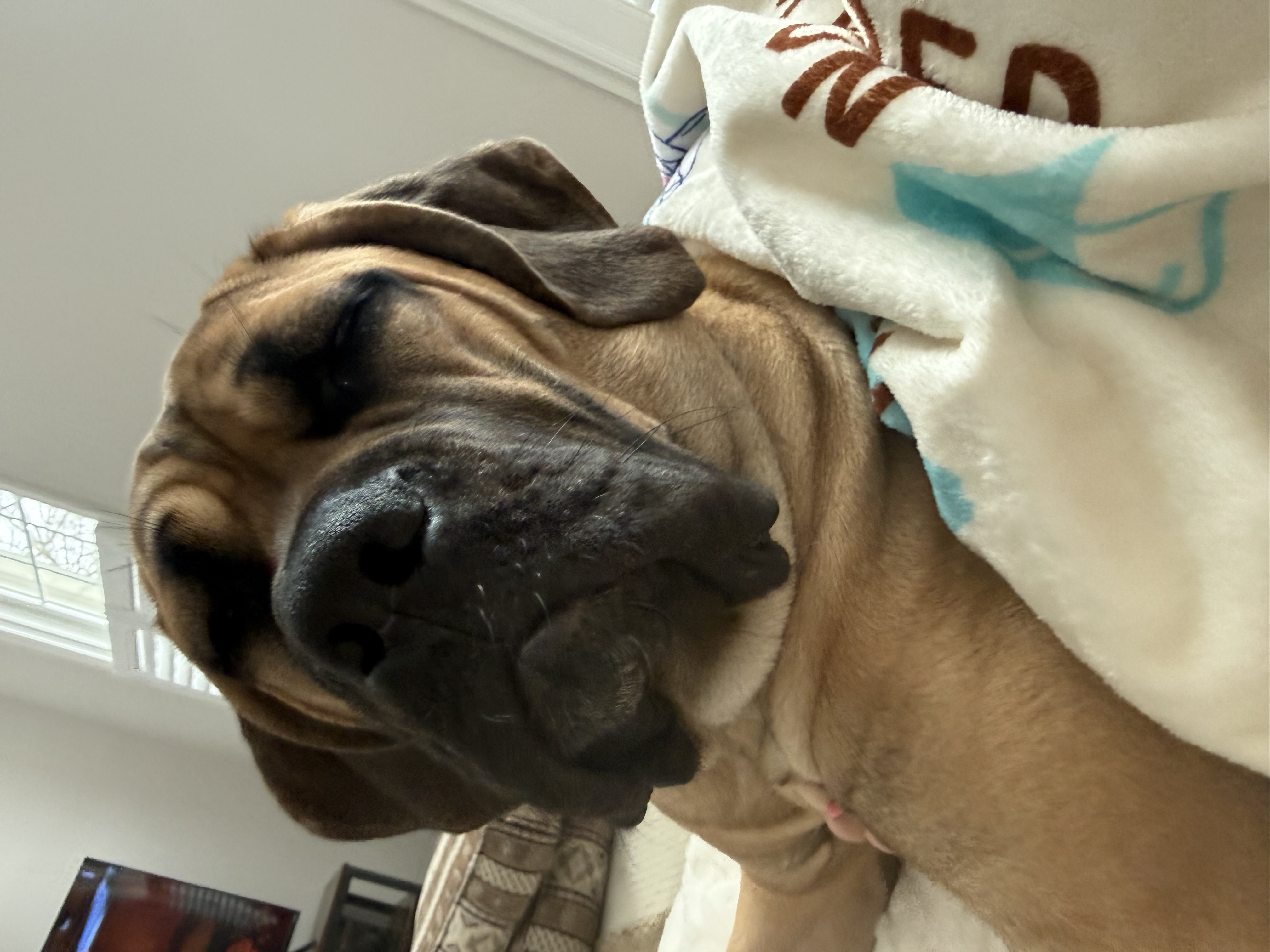 Photo Review Submission from Linda Suter