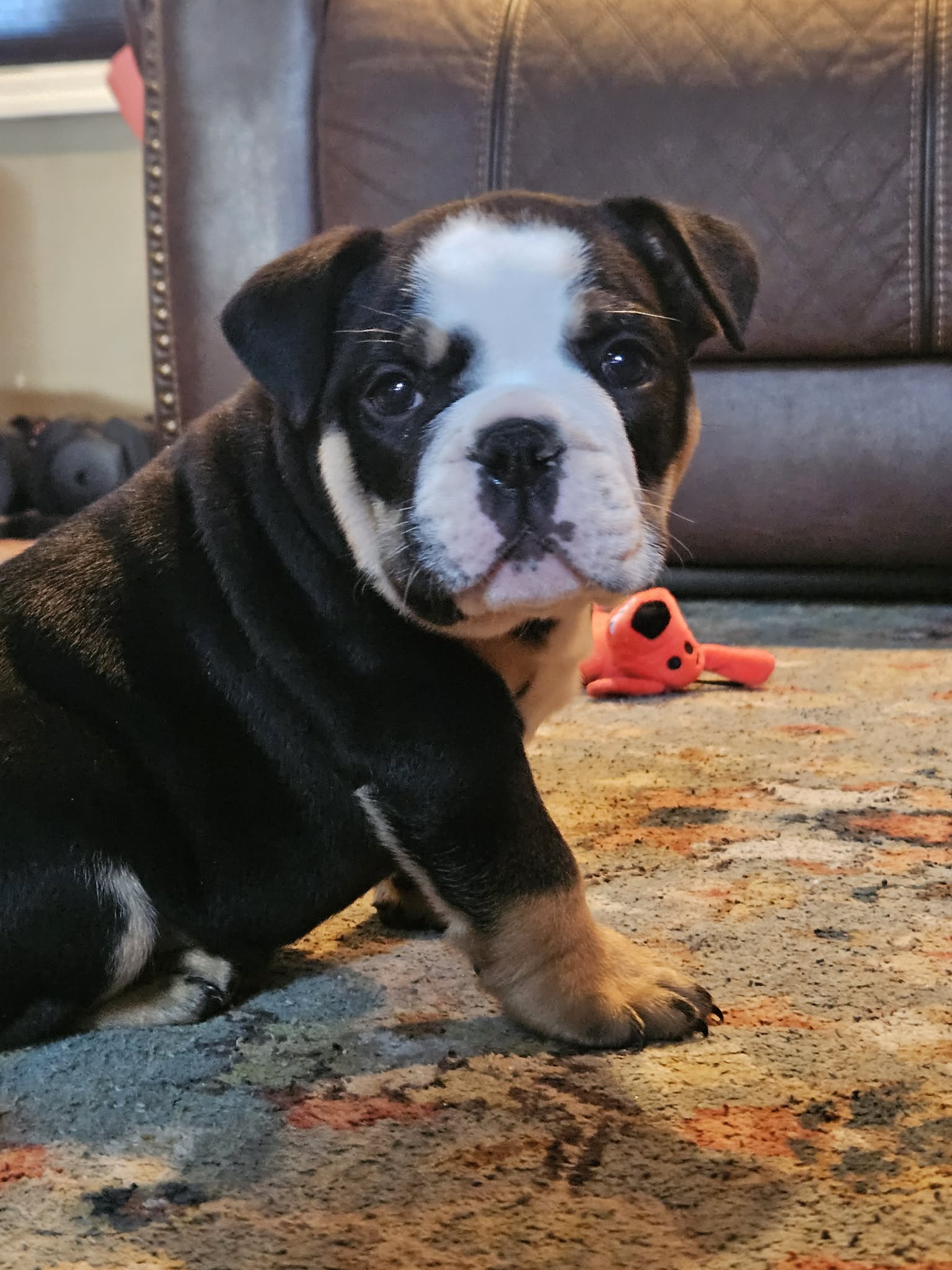 Photo Review Submission from Jonathan Ritchson