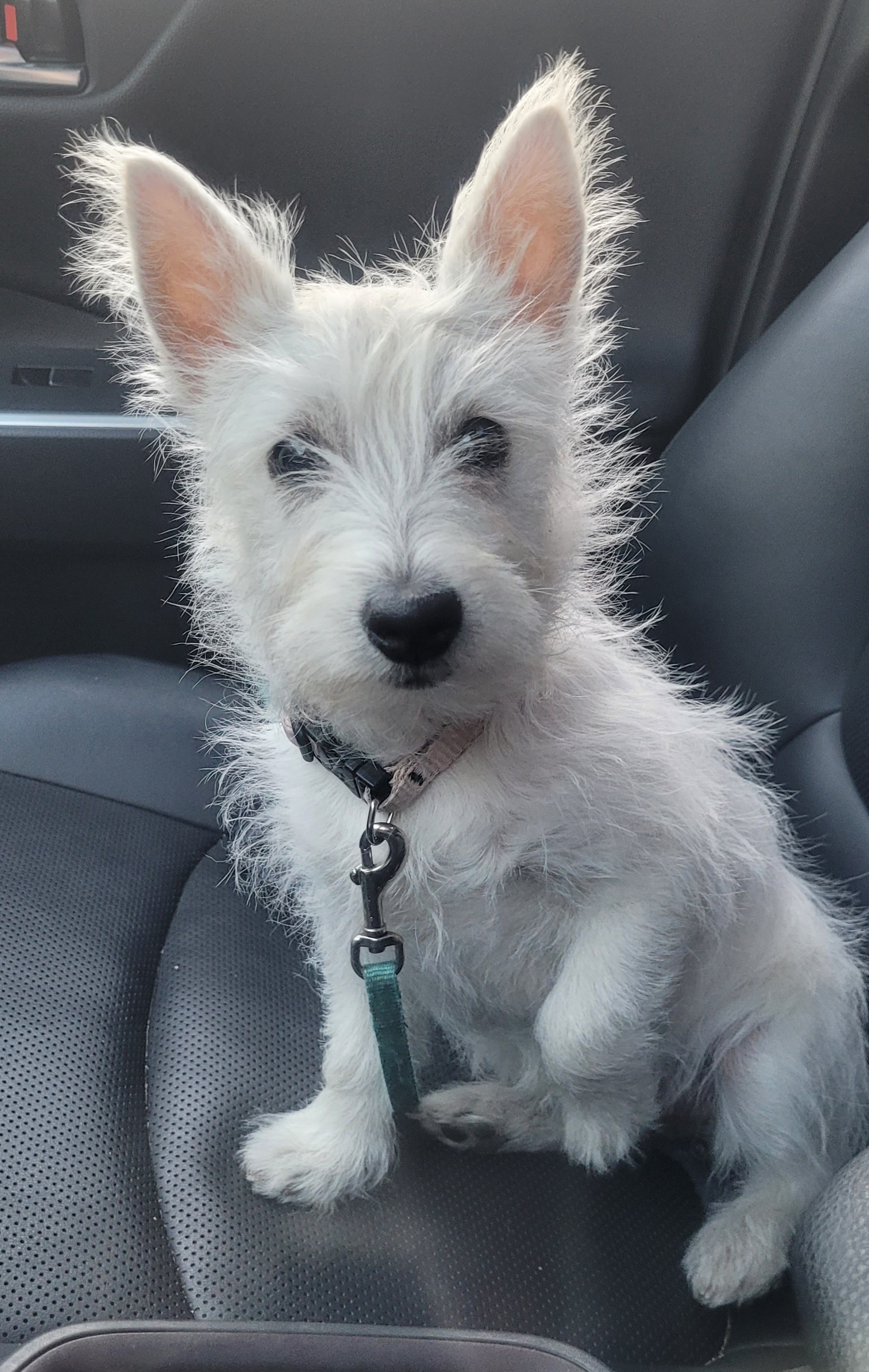 Photo Review Submission from MATTHEW LEIGHTON