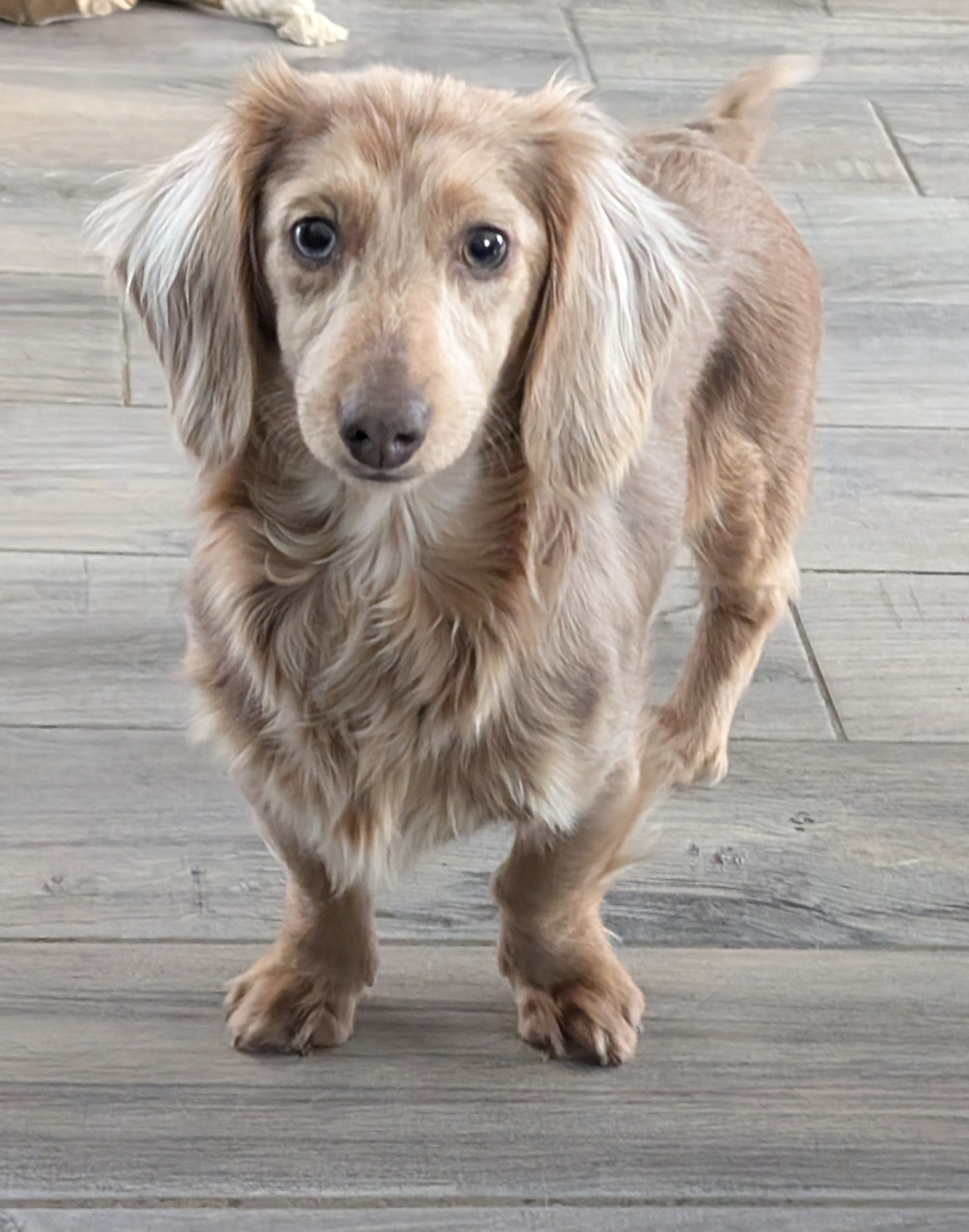 Photo Review Submission from Megan Sandy