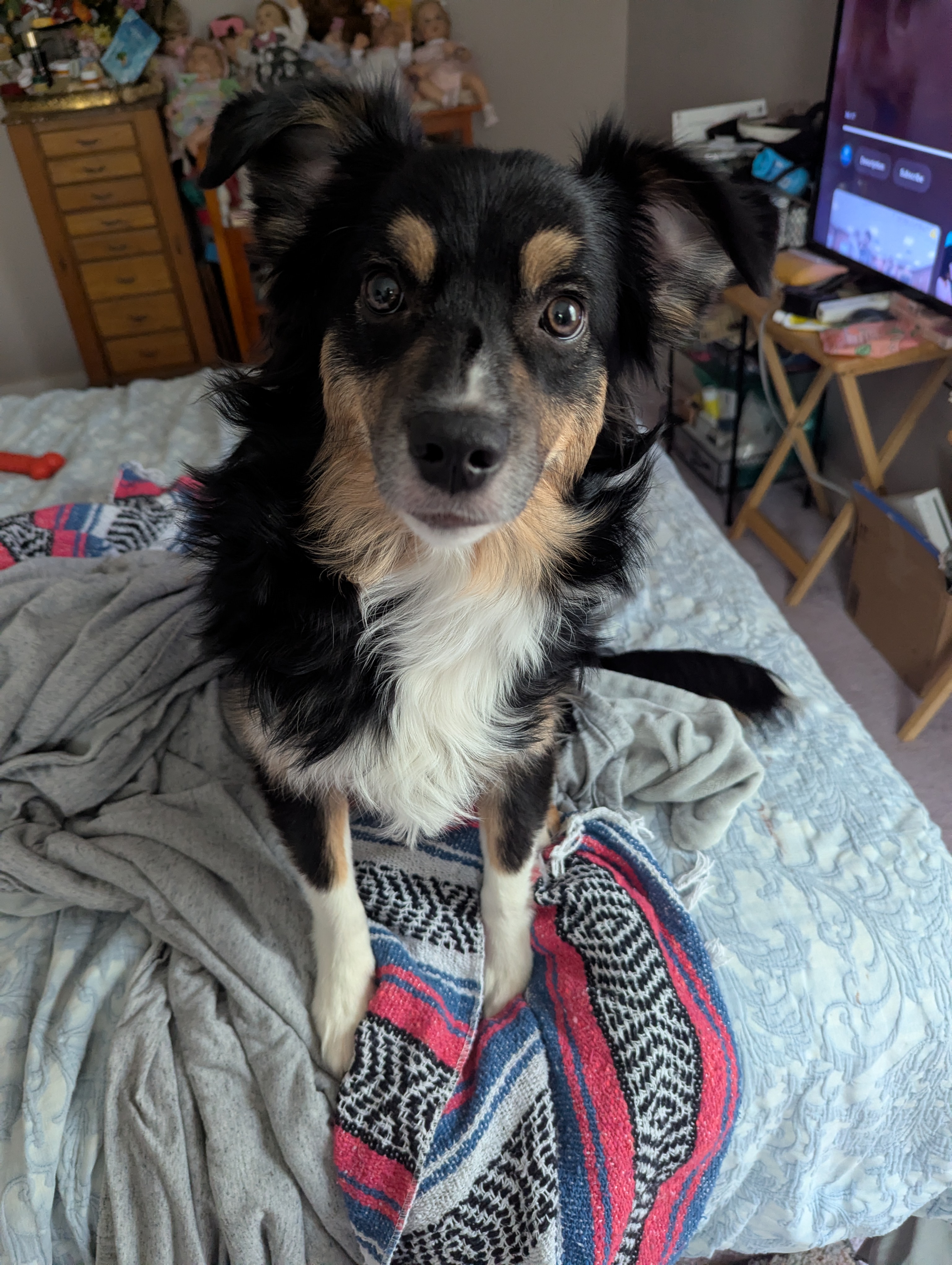 Photo Review Submission from Elaine Brill