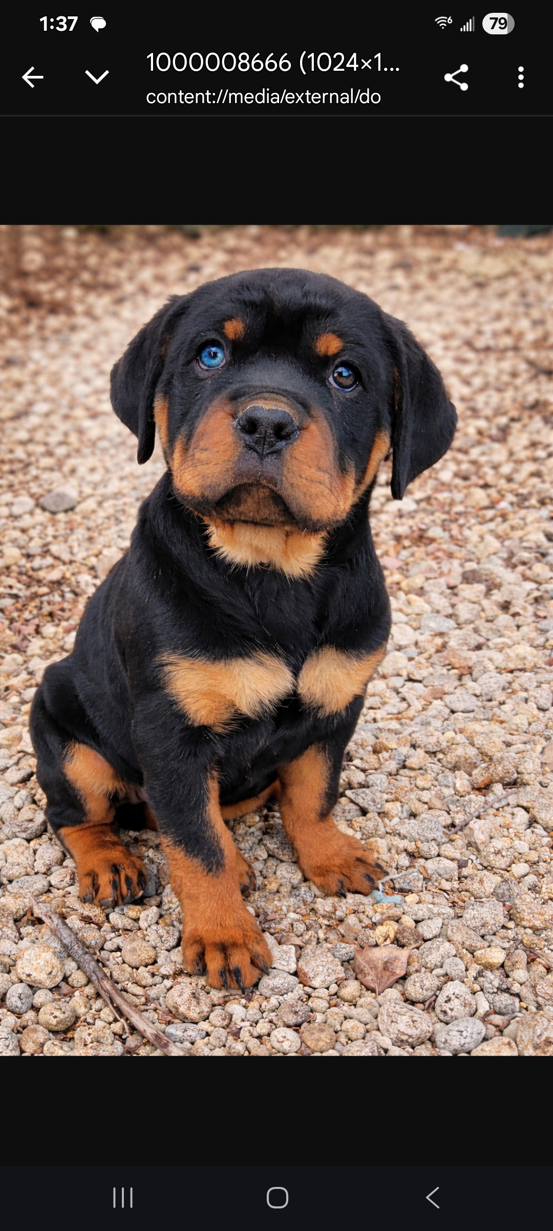 Photo Review Submission from Cece Gentilini