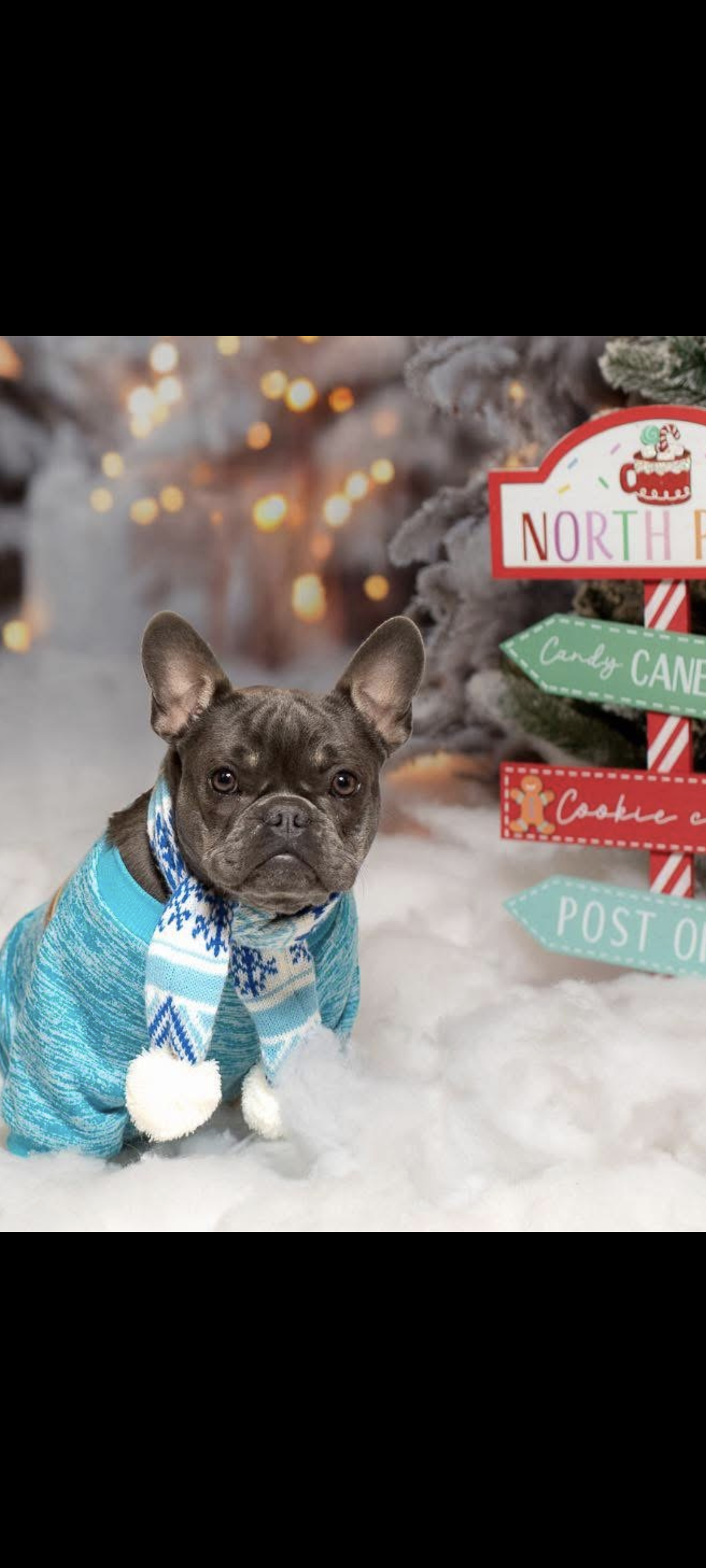 Photo Review Submission from Latanya Charles