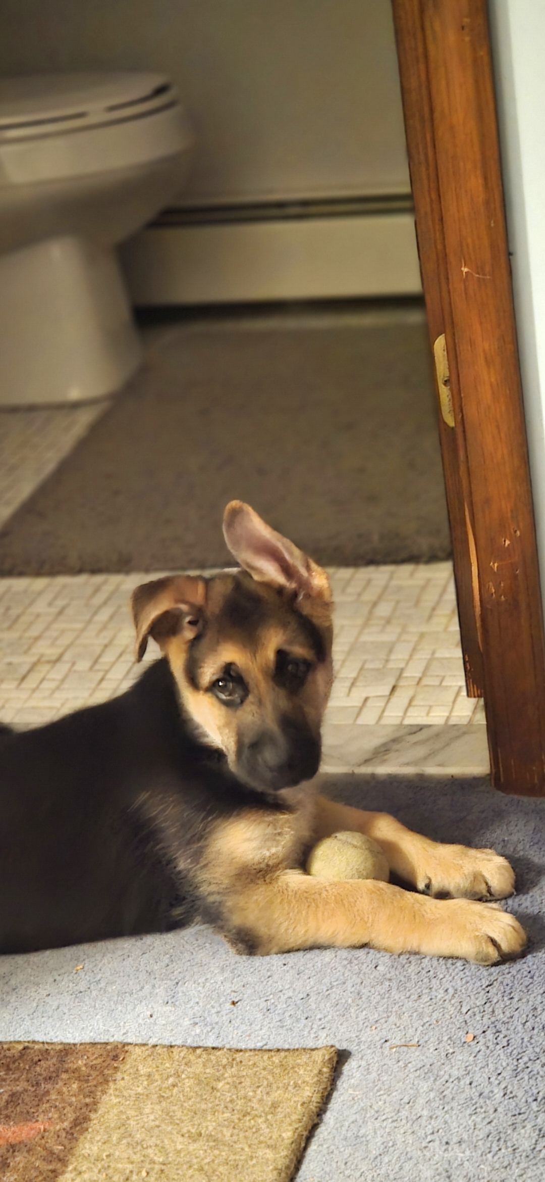 Photo Review Submission from Bill Painz