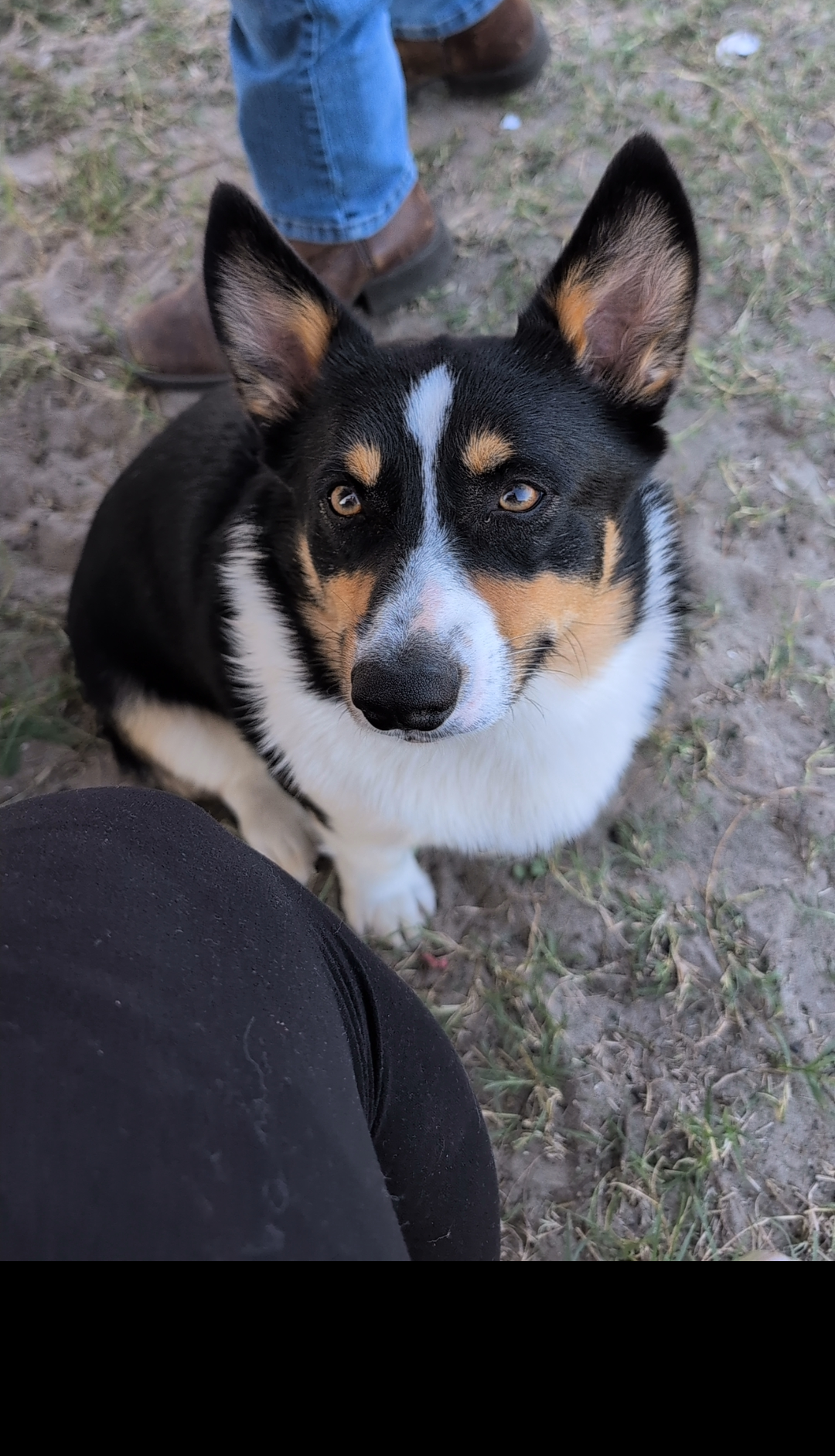 Photo Review Submission from Joy Deaver