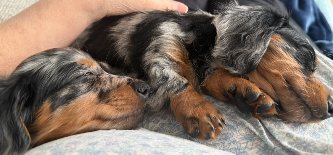 Photo Review Submission from Patricia Ramsey