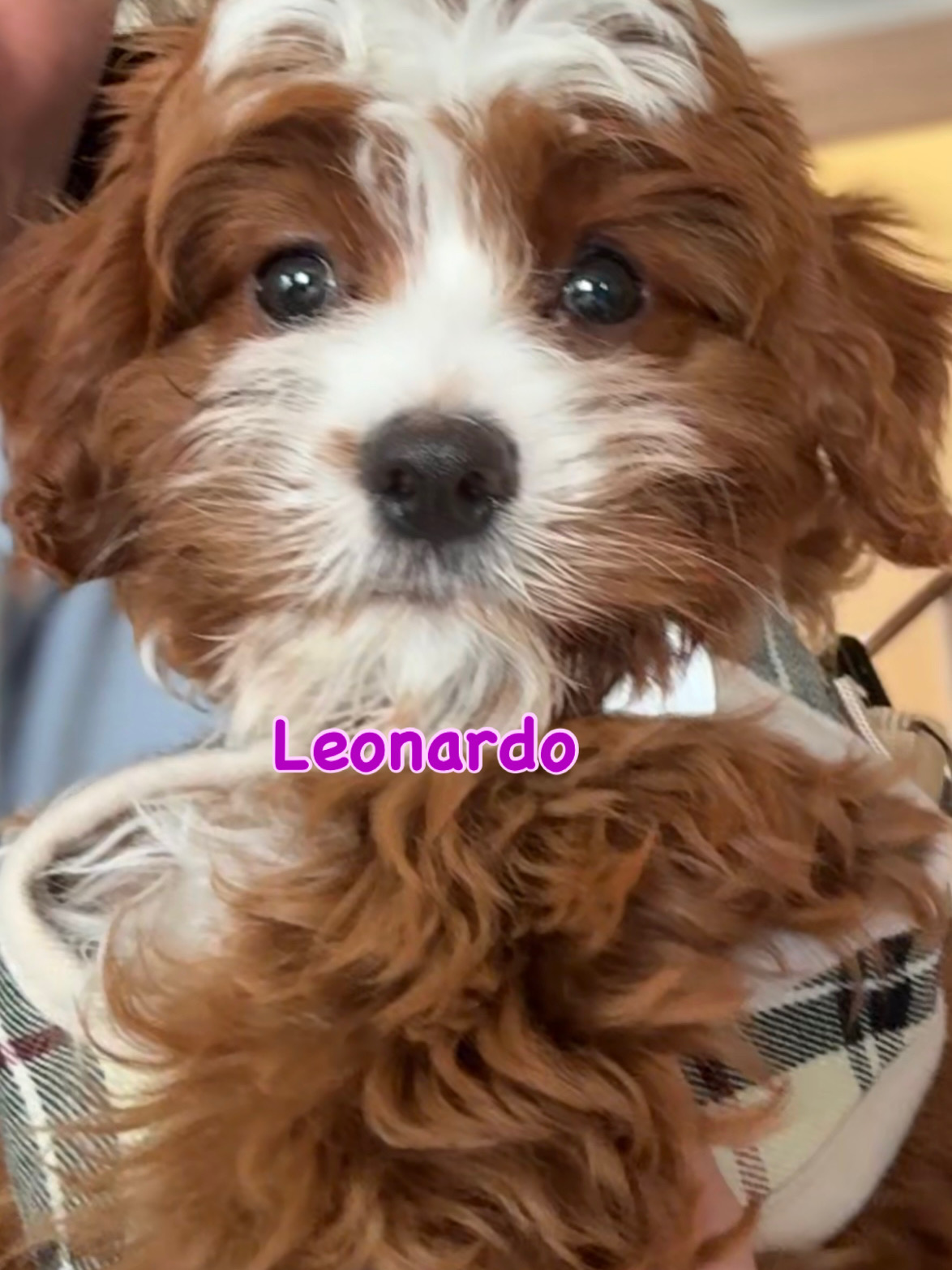 Photo Review Submission from Sarah Nazarian