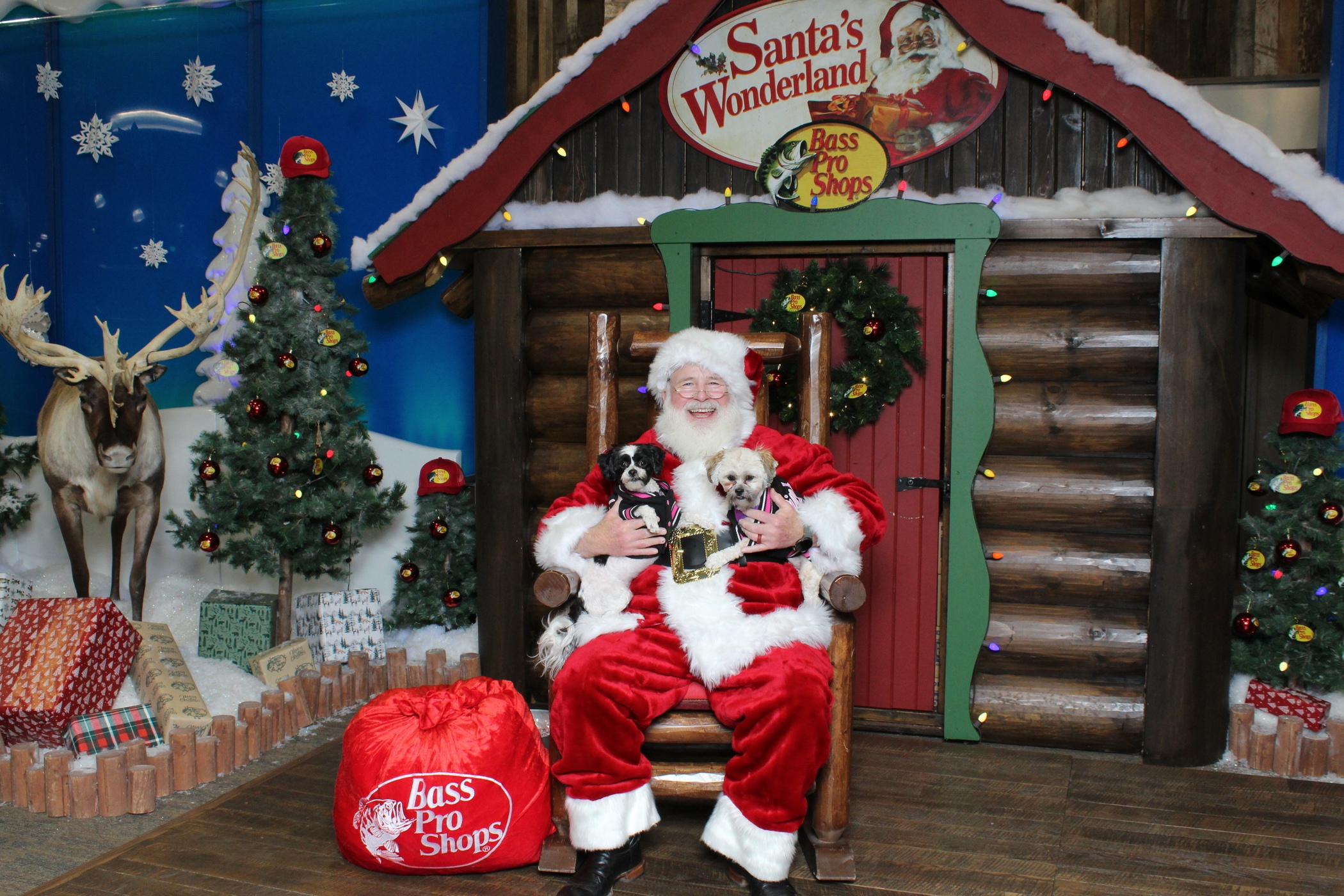 Photo Review Submission from Khandi Crandal