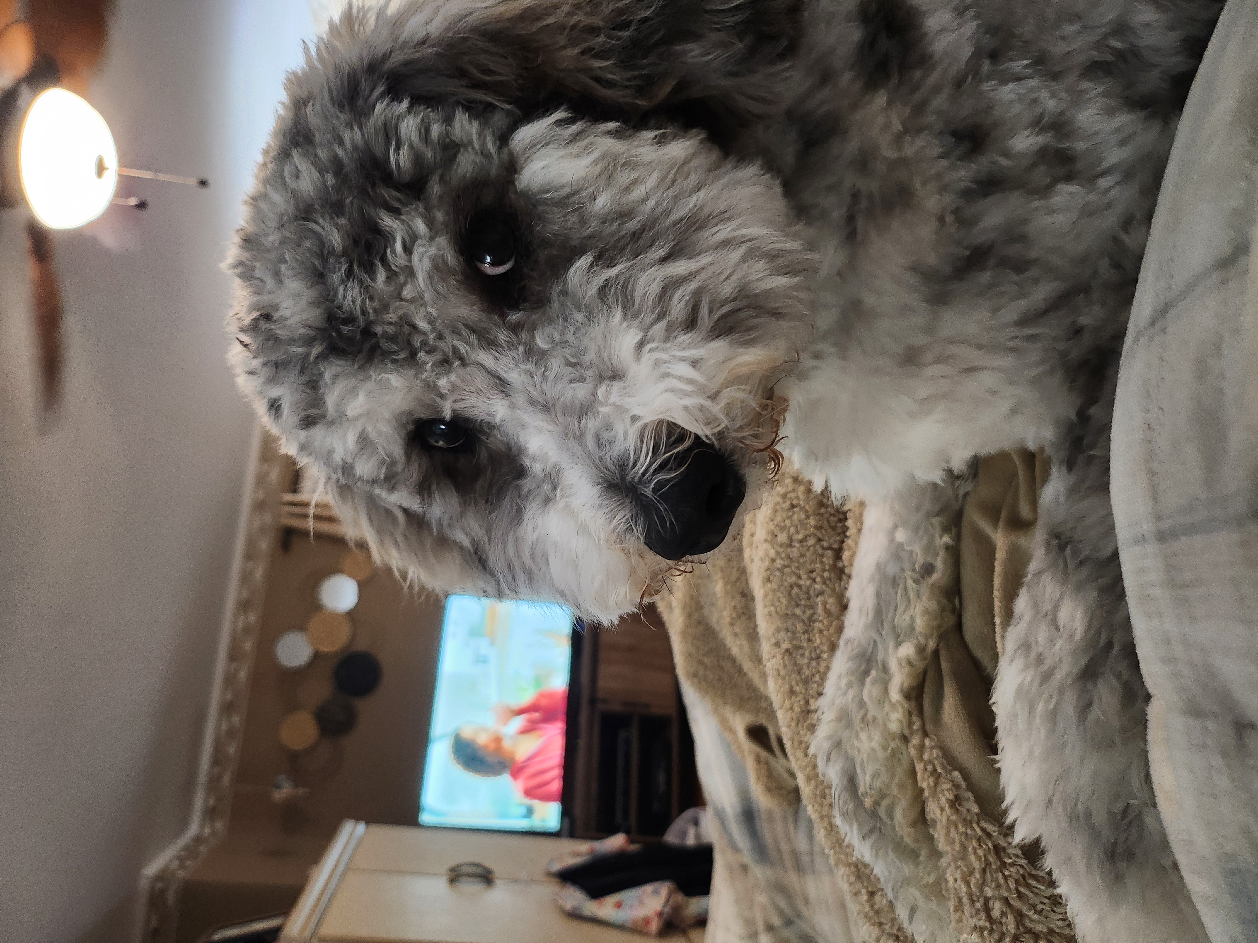 Photo Review Submission from Barbara Ciubinski