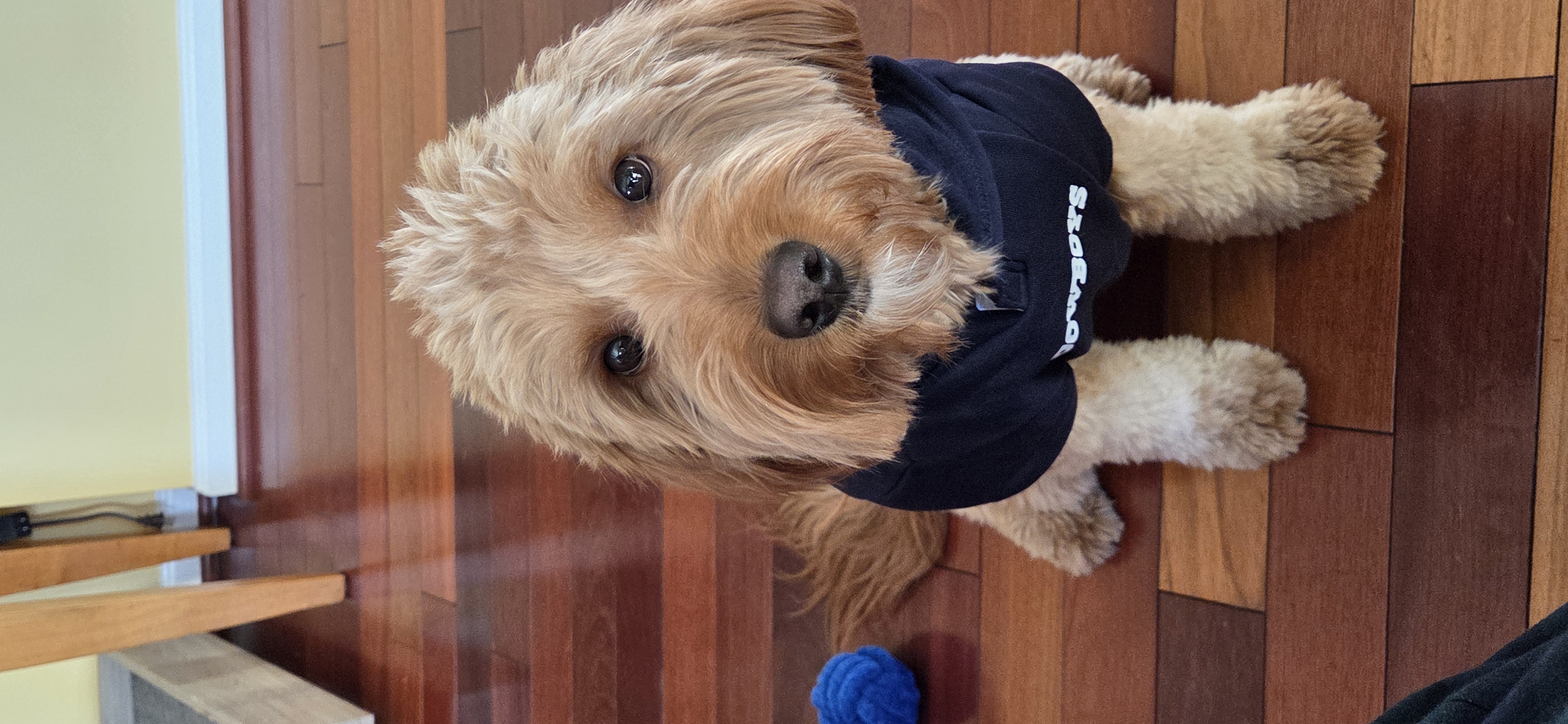 Photo Review Submission from Darryl Thompson