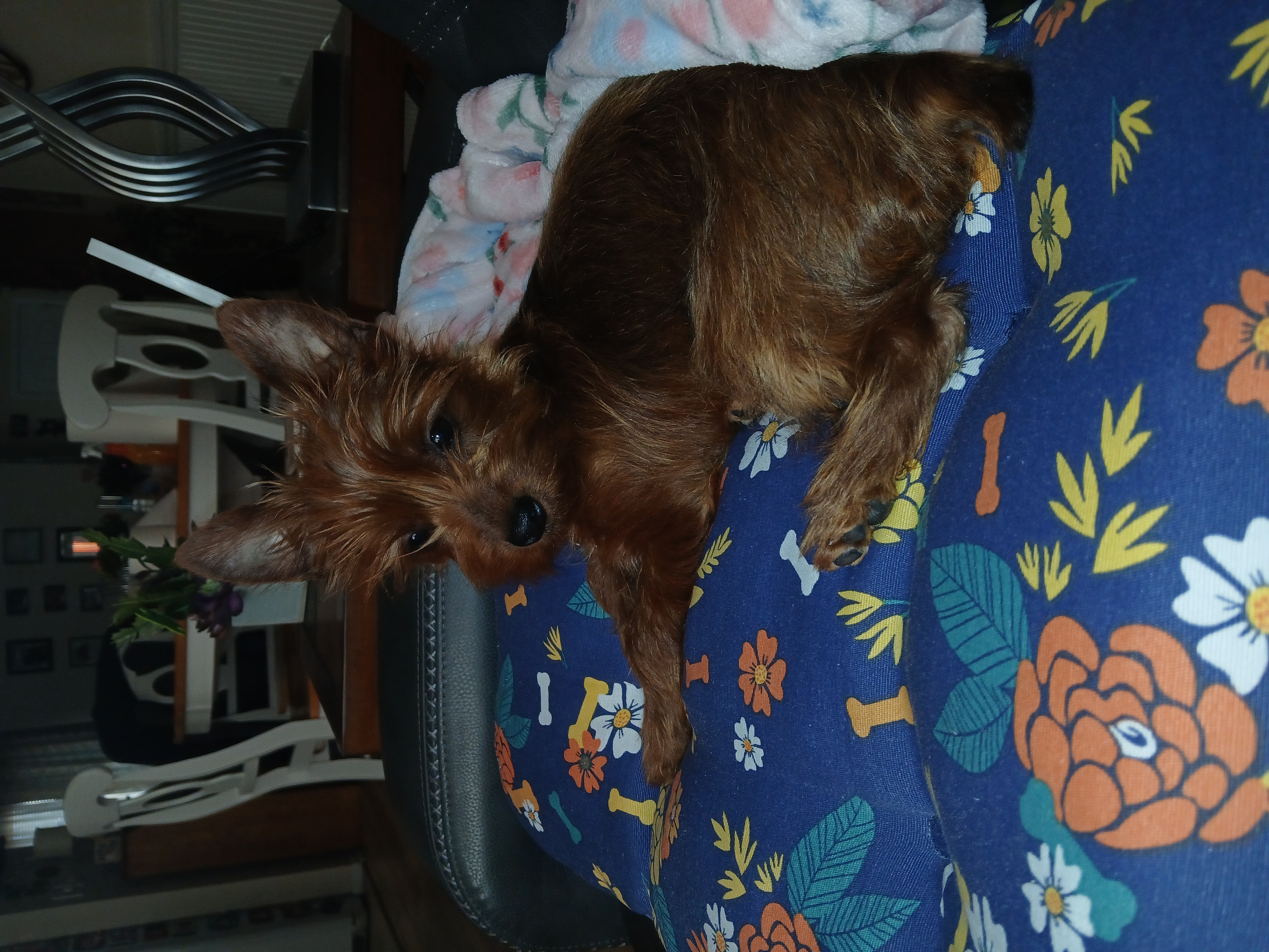 Photo Review Submission from Betteann Kinzler