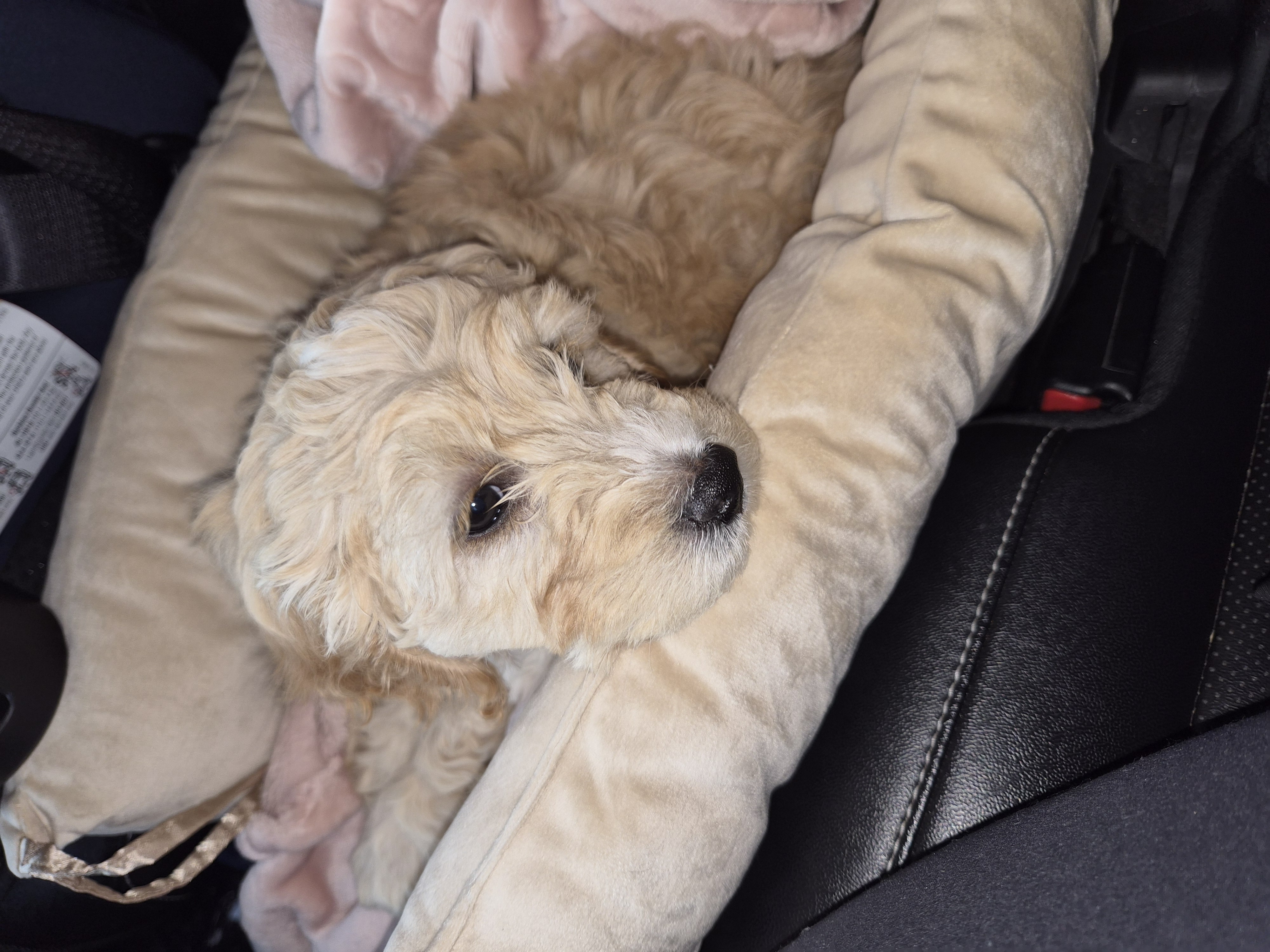 Photo Review Submission from Kimberly M