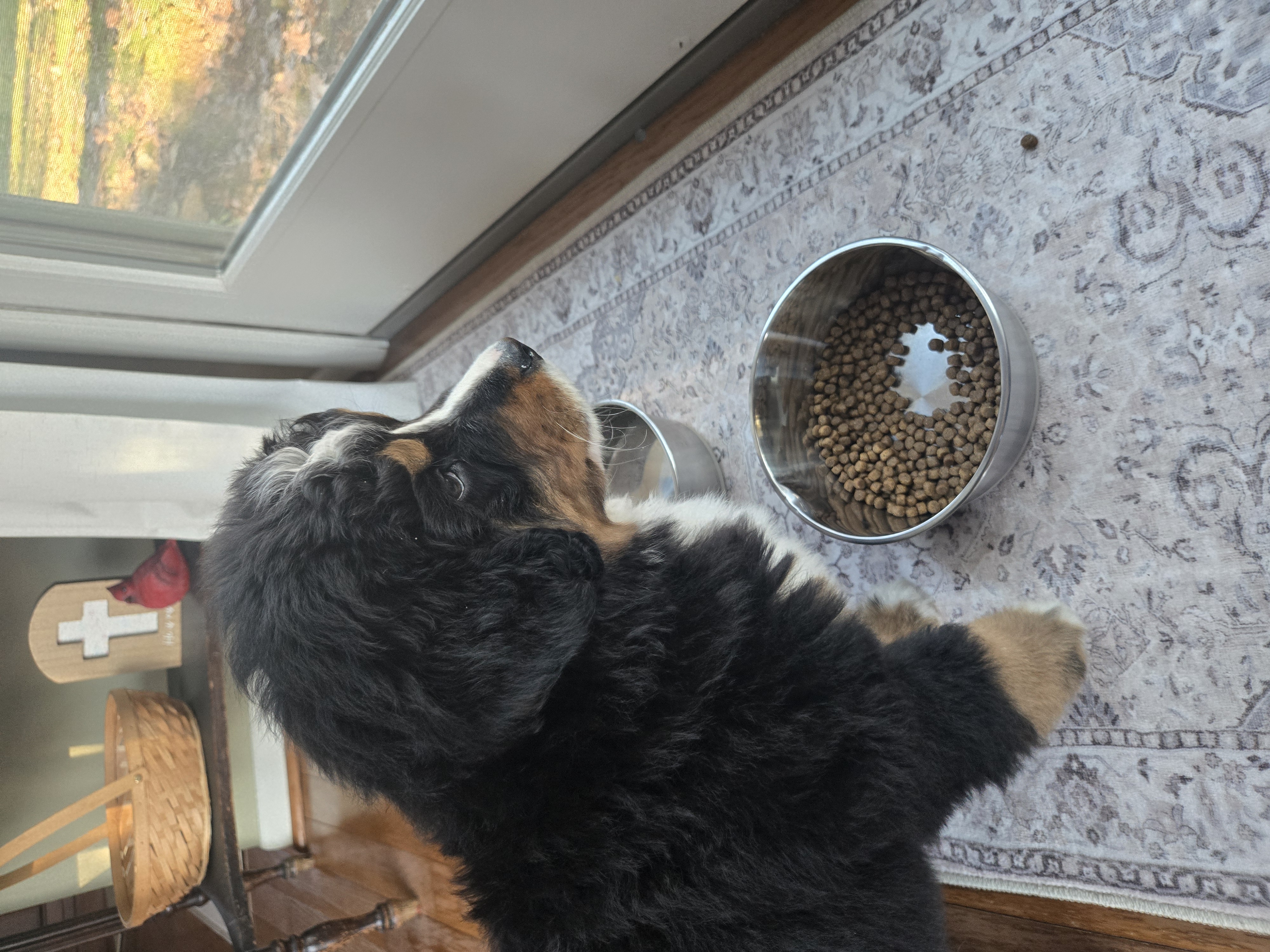 Photo Review Submission from Kelsey McGonigle