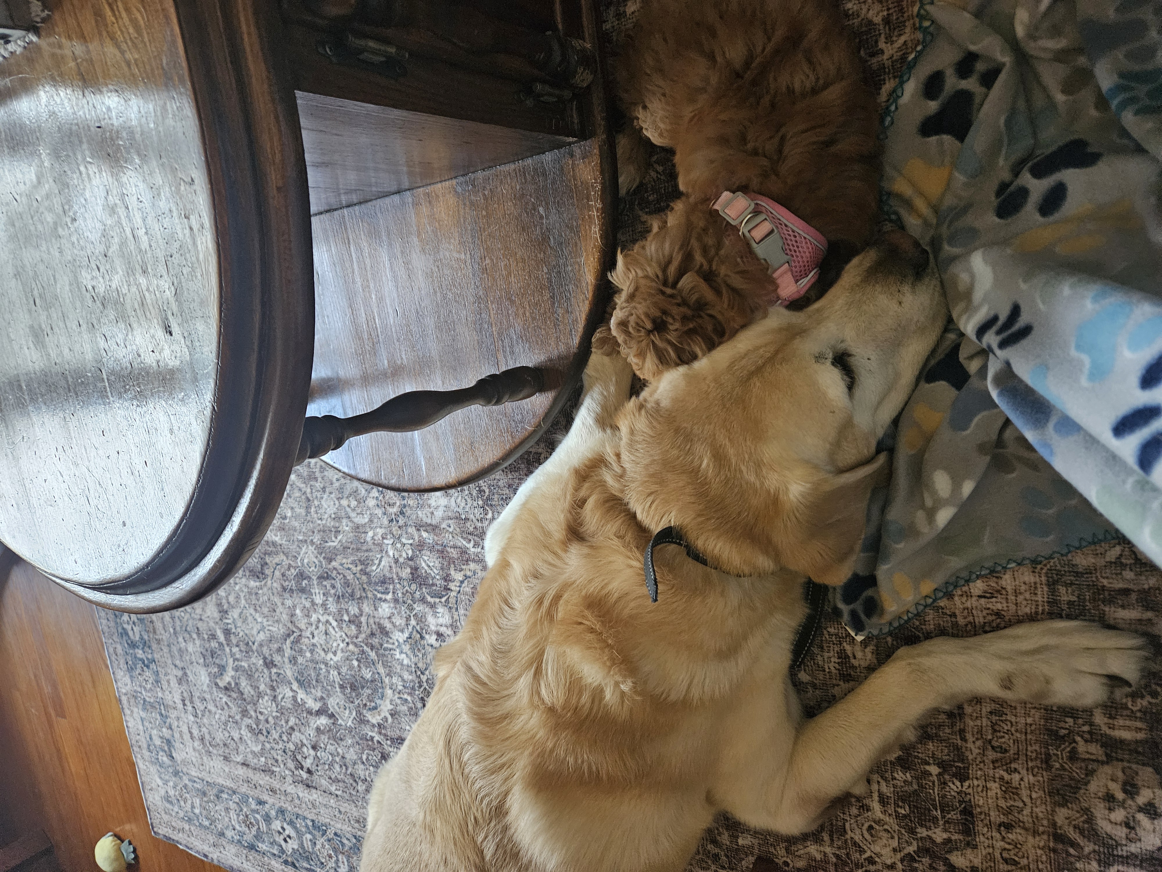 Photo Review Submission from Veronica Cox