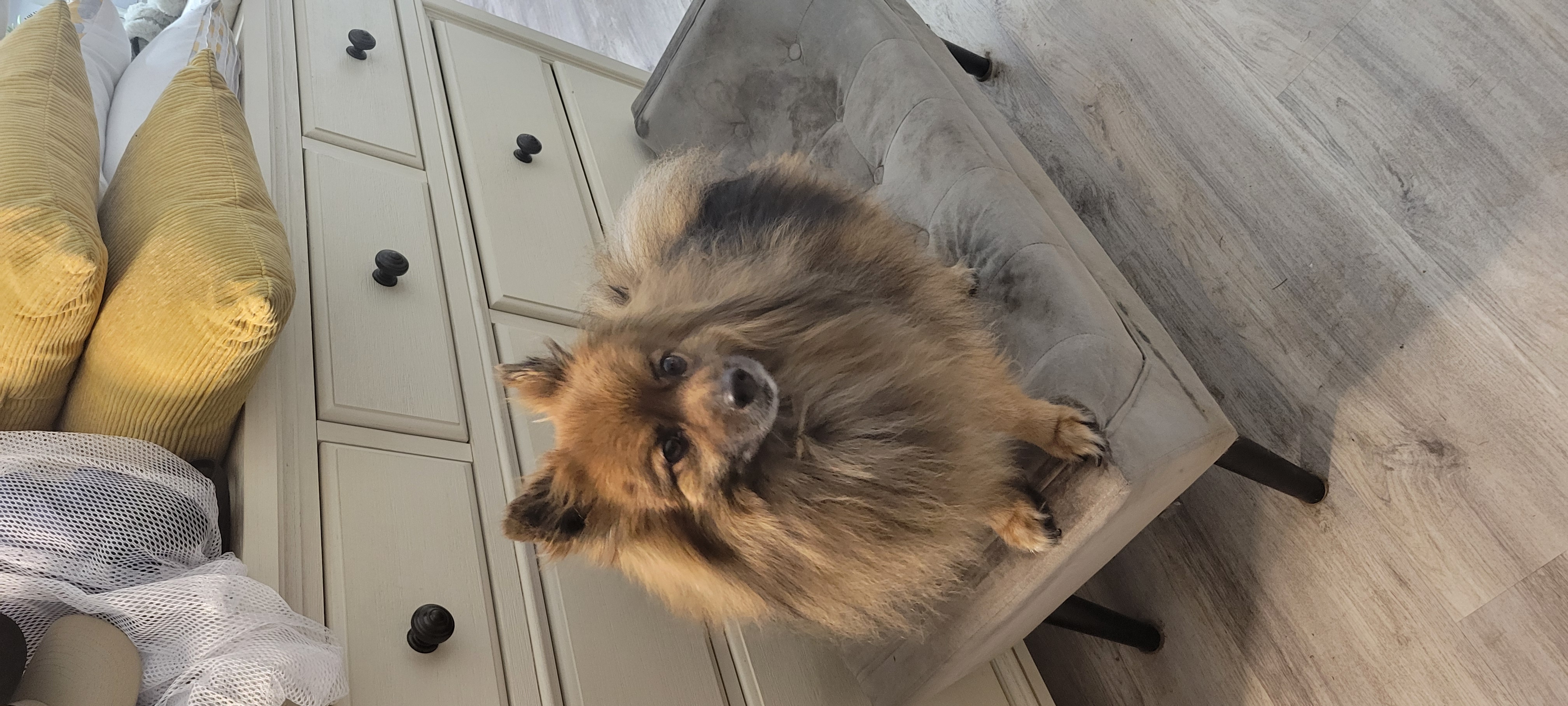 Photo Review Submission from Ron Rodriguez