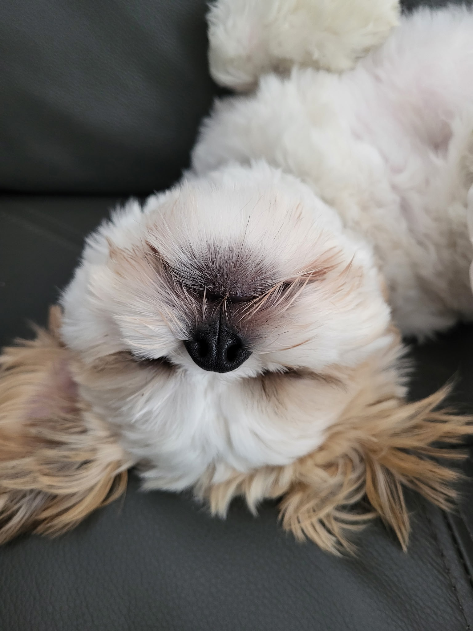 Photo Review Submission from Nicole Koerber