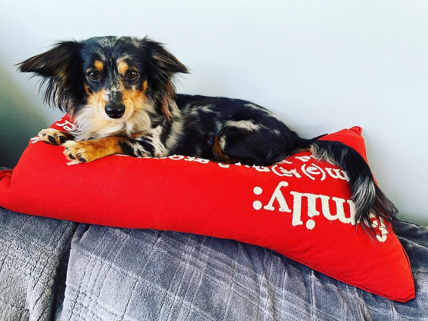 Photo Review Submission from Denni P