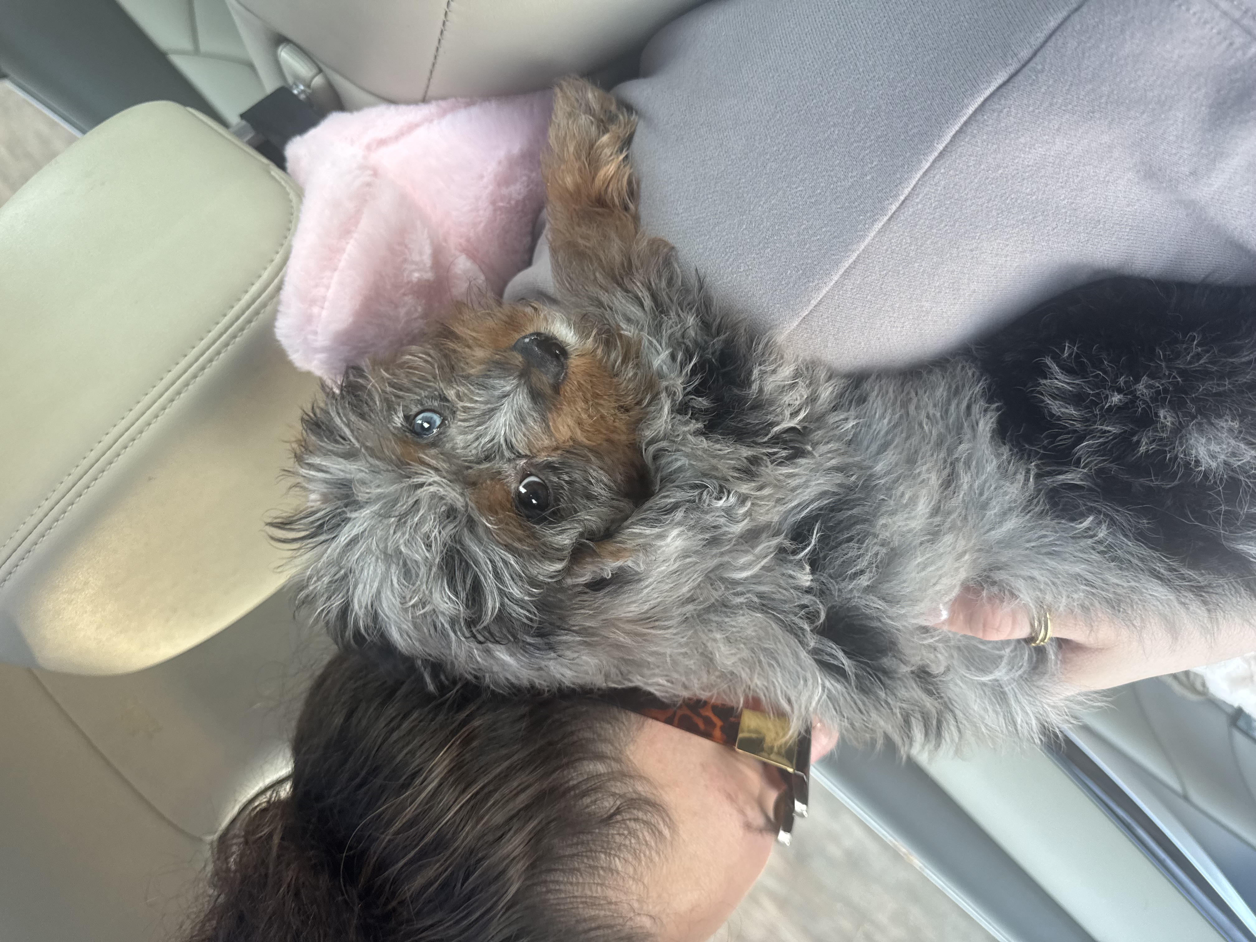 Photo Review Submission from Jasmine Jamiel