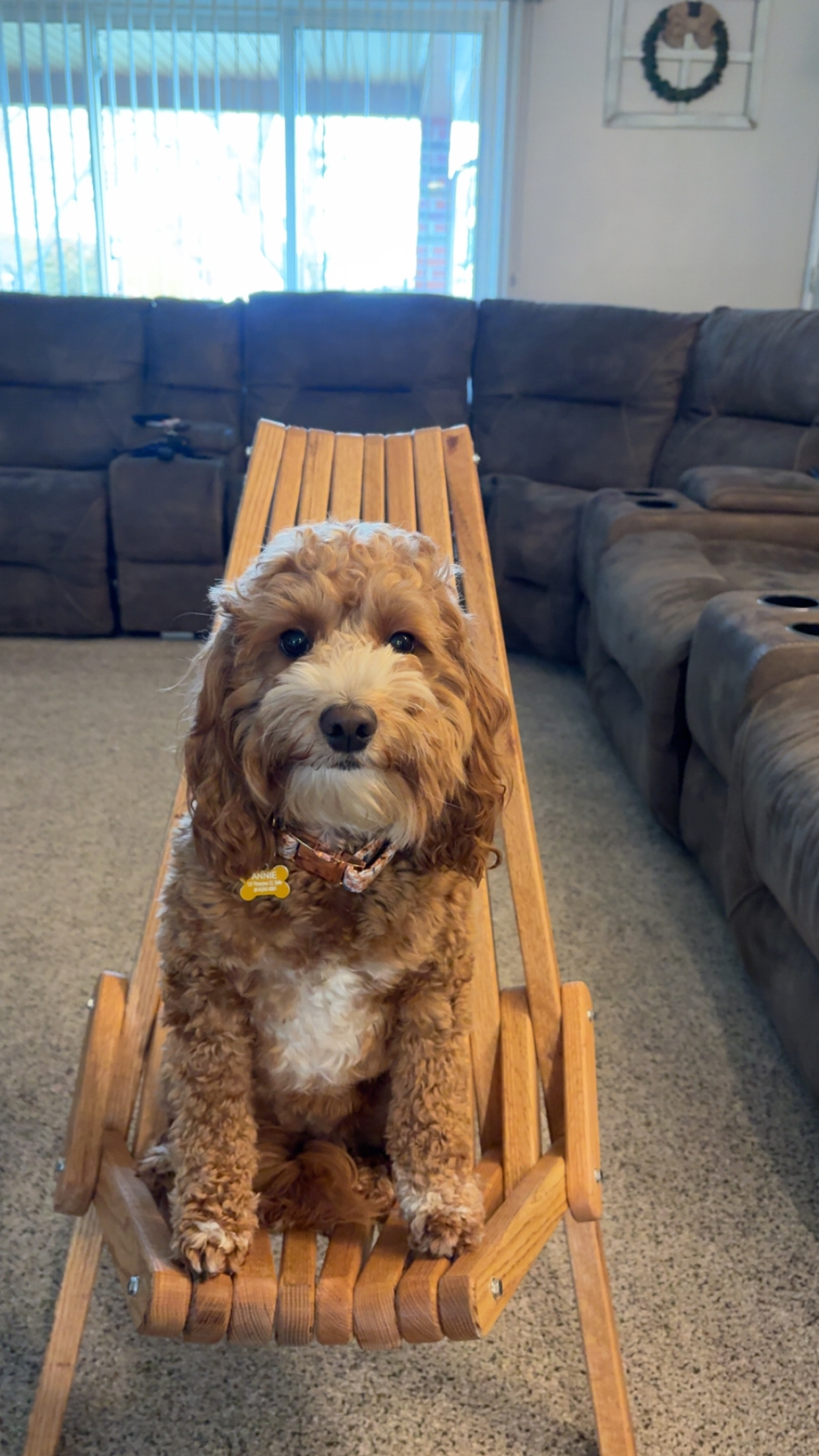 Photo Review Submission from Jill Wolfhope