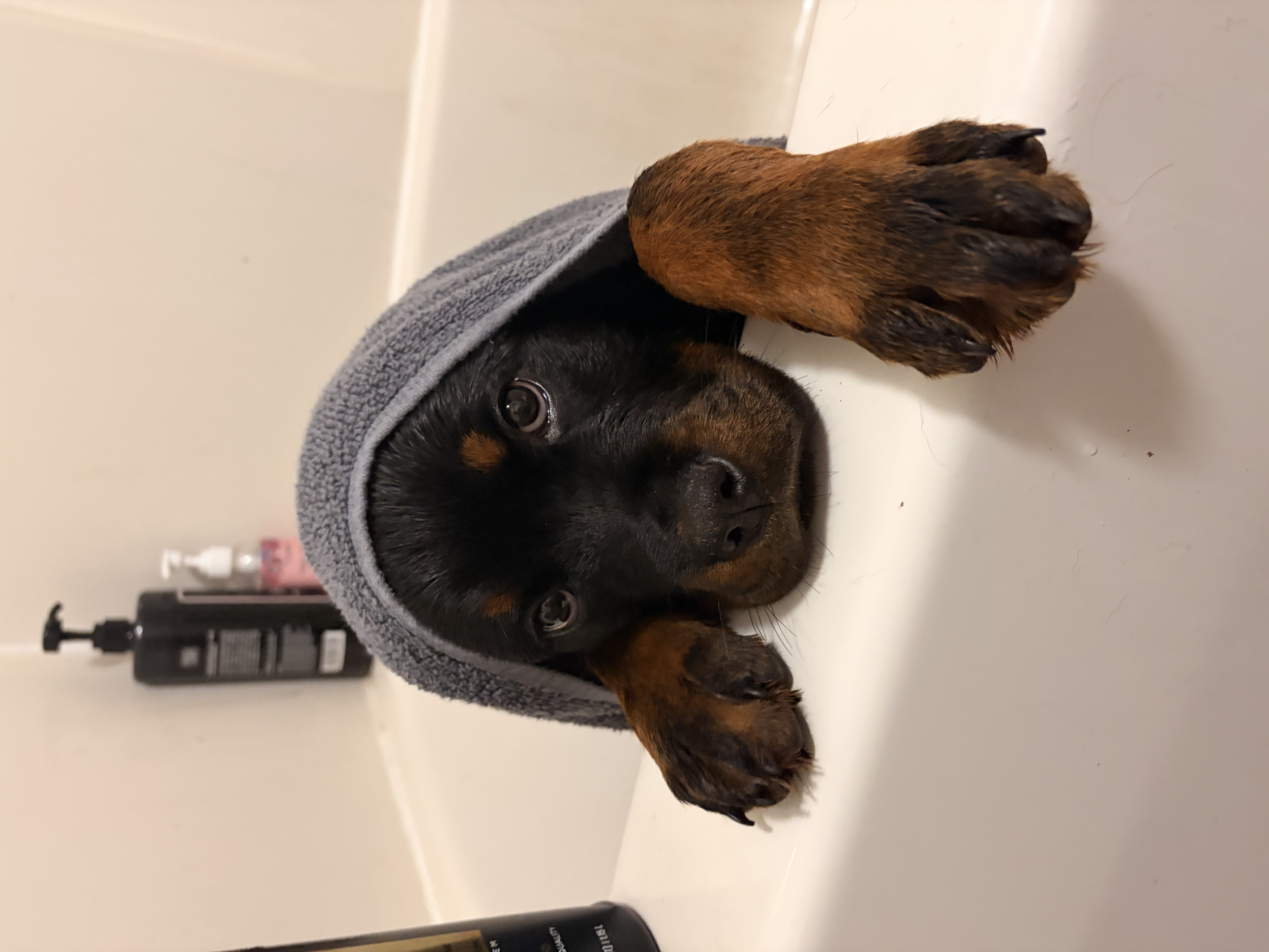 Photo Review Submission from LeighAnna Overfield