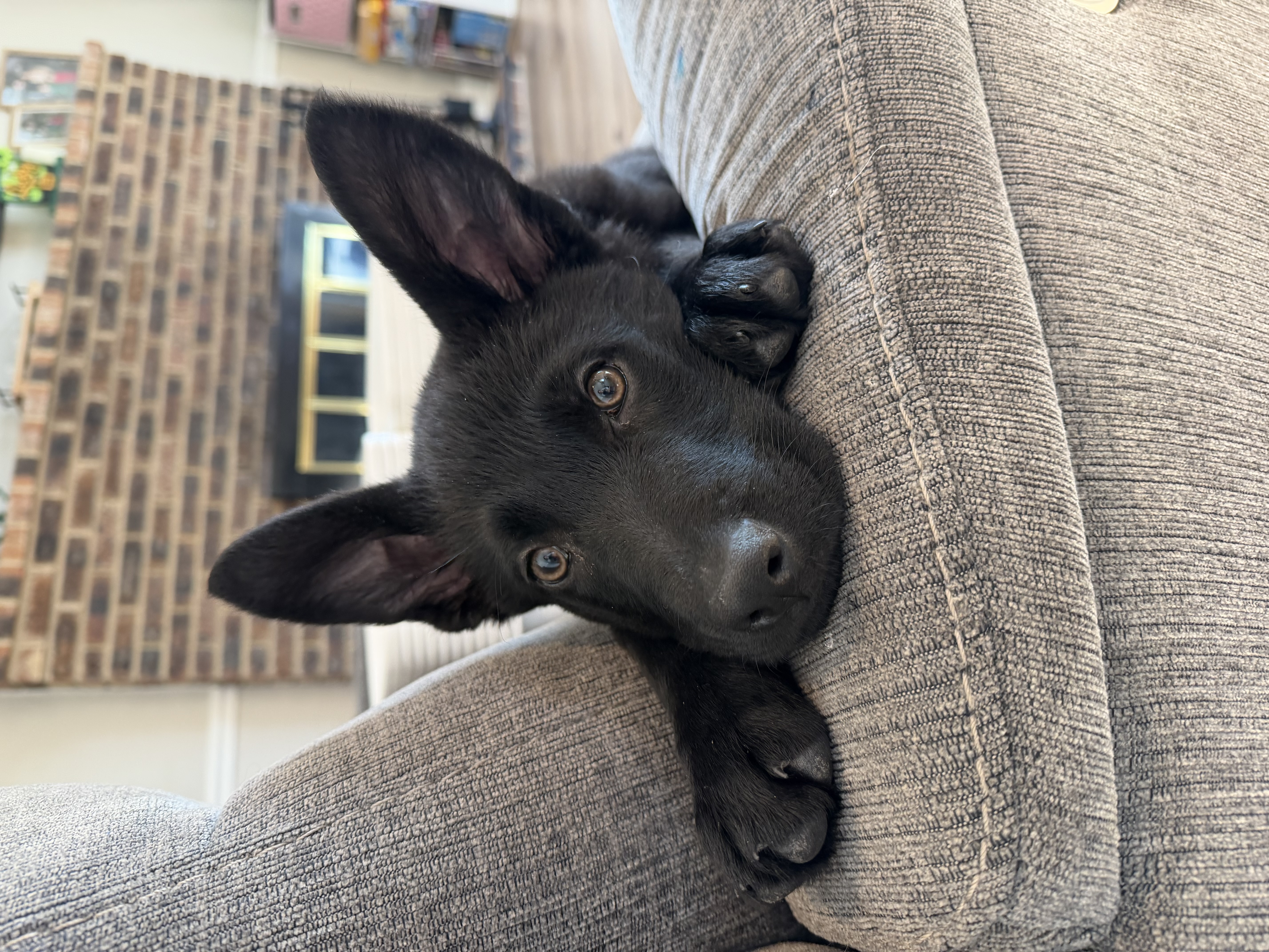 Photo Review Submission from Michelle DeProfio