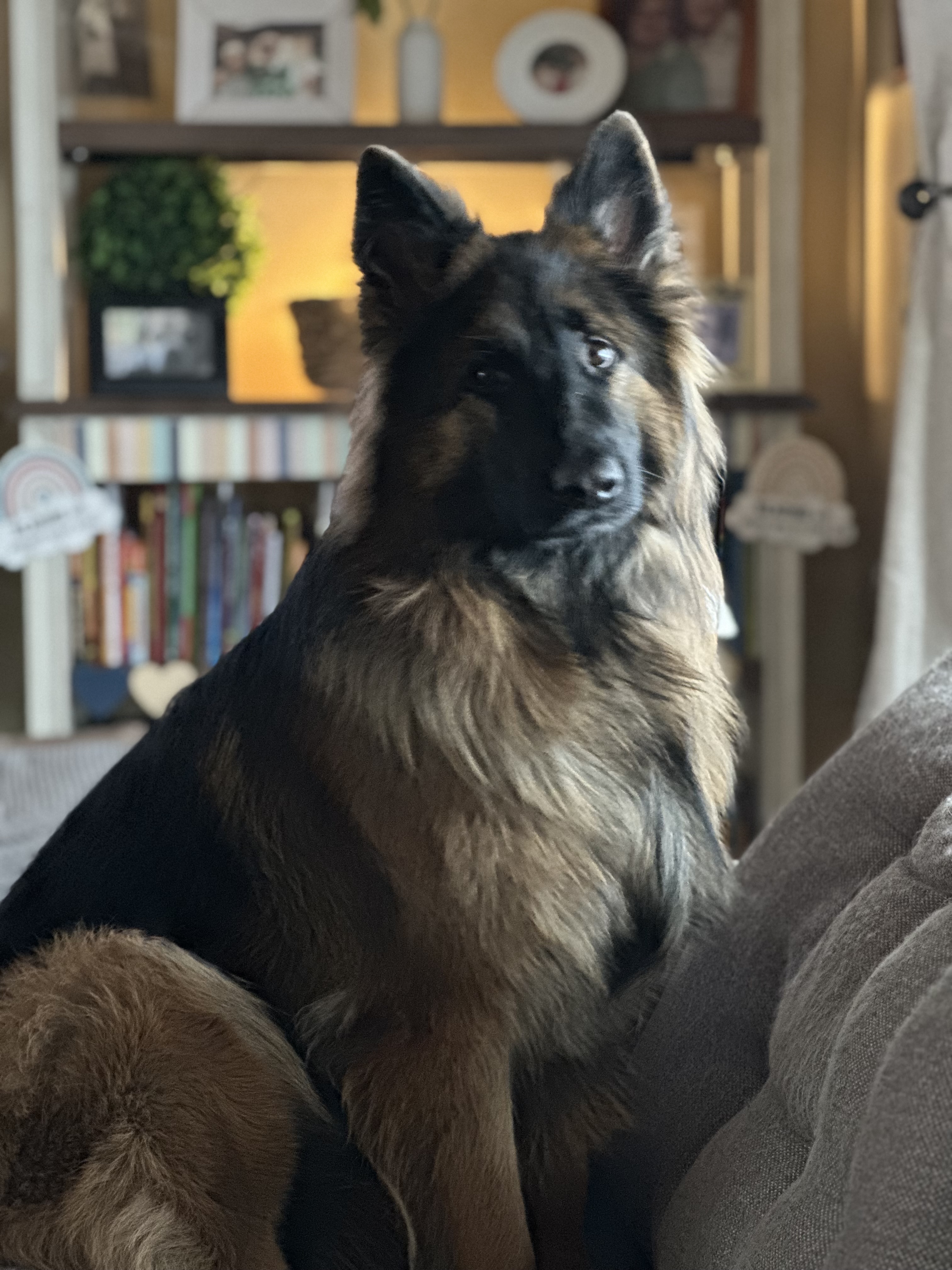 Photo Review Submission from Bobbi Jo Myrsiades