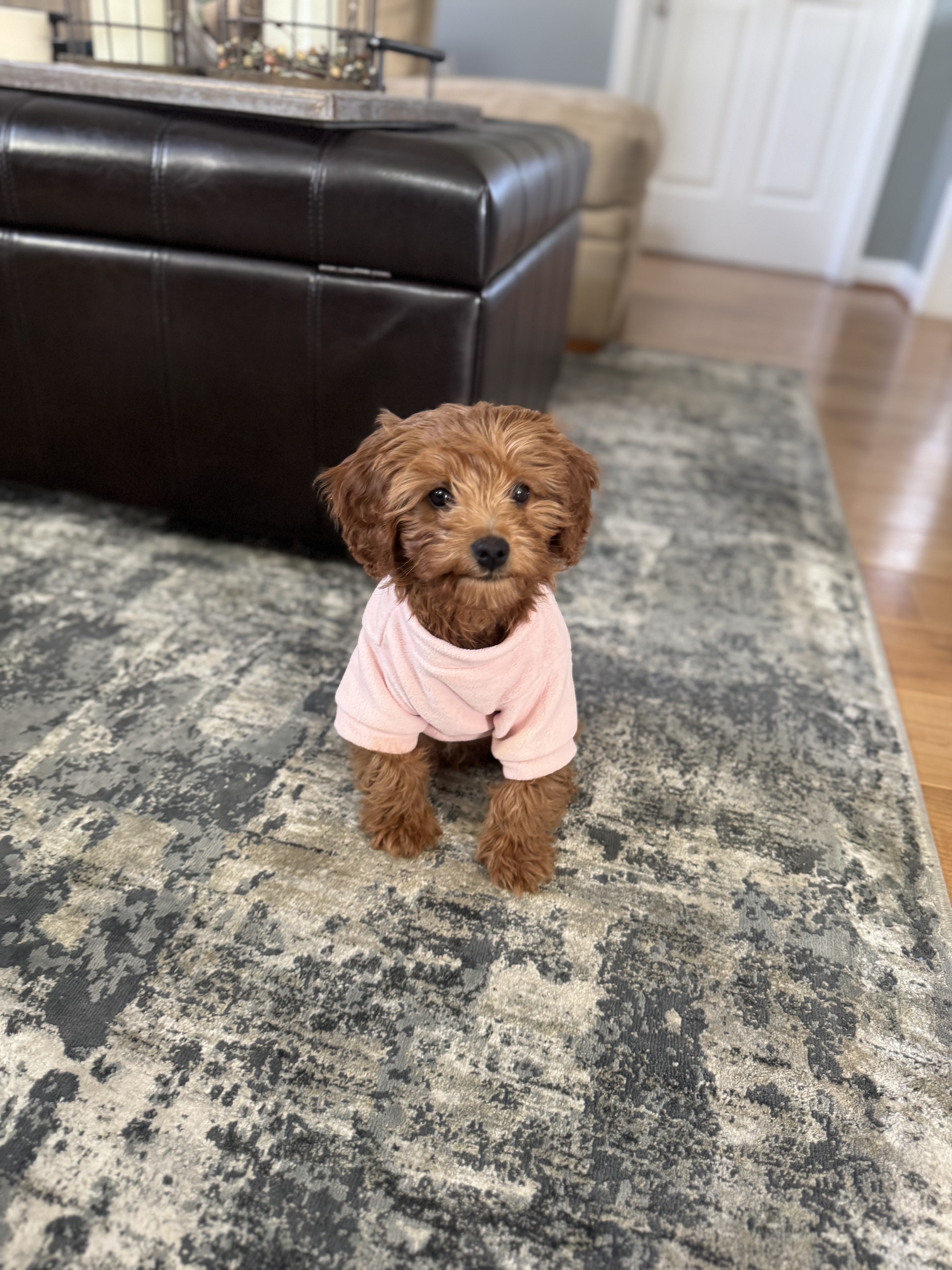 Photo Review Submission from Olivia F