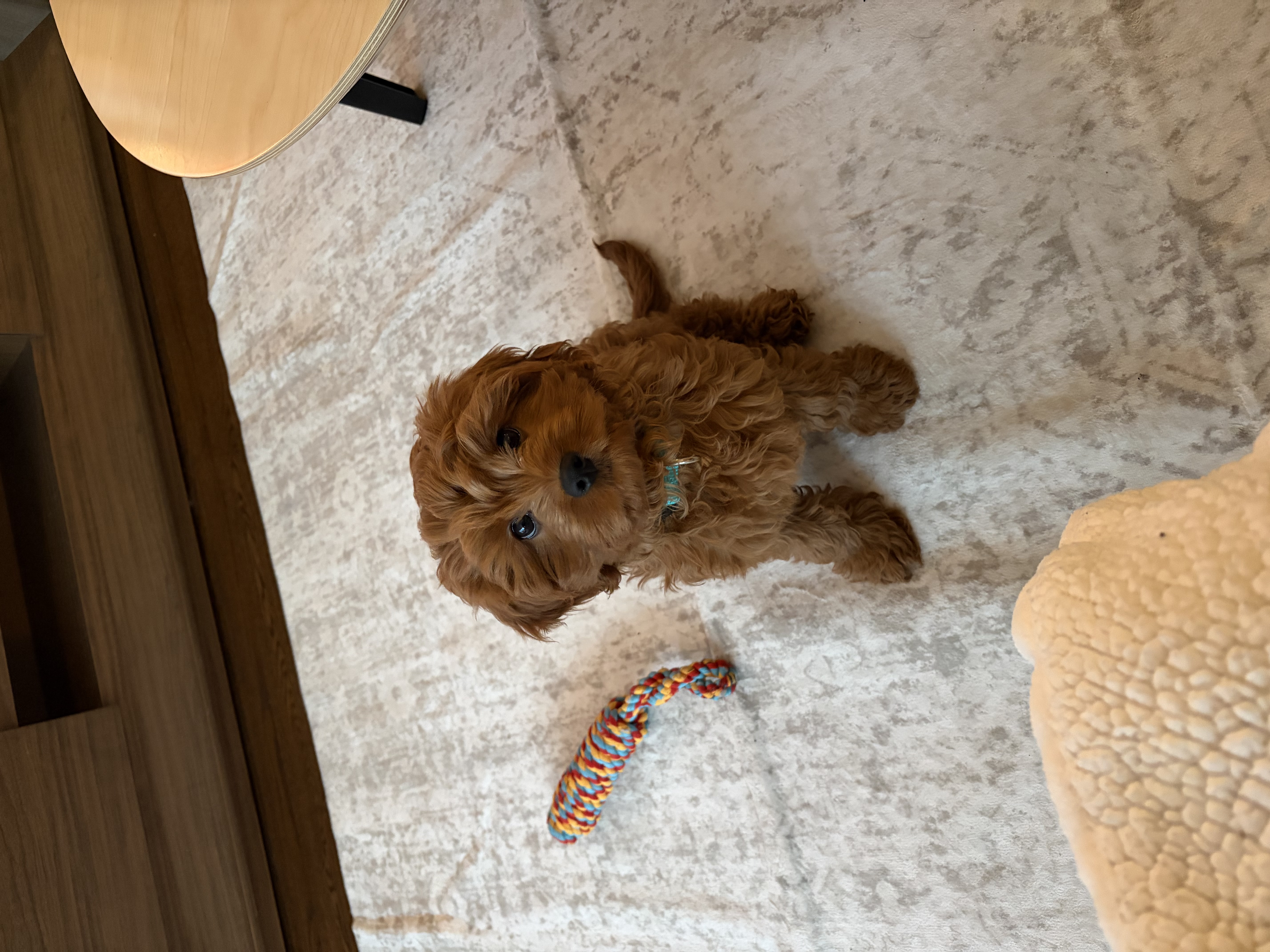 Photo Review Submission from Brittany Boone