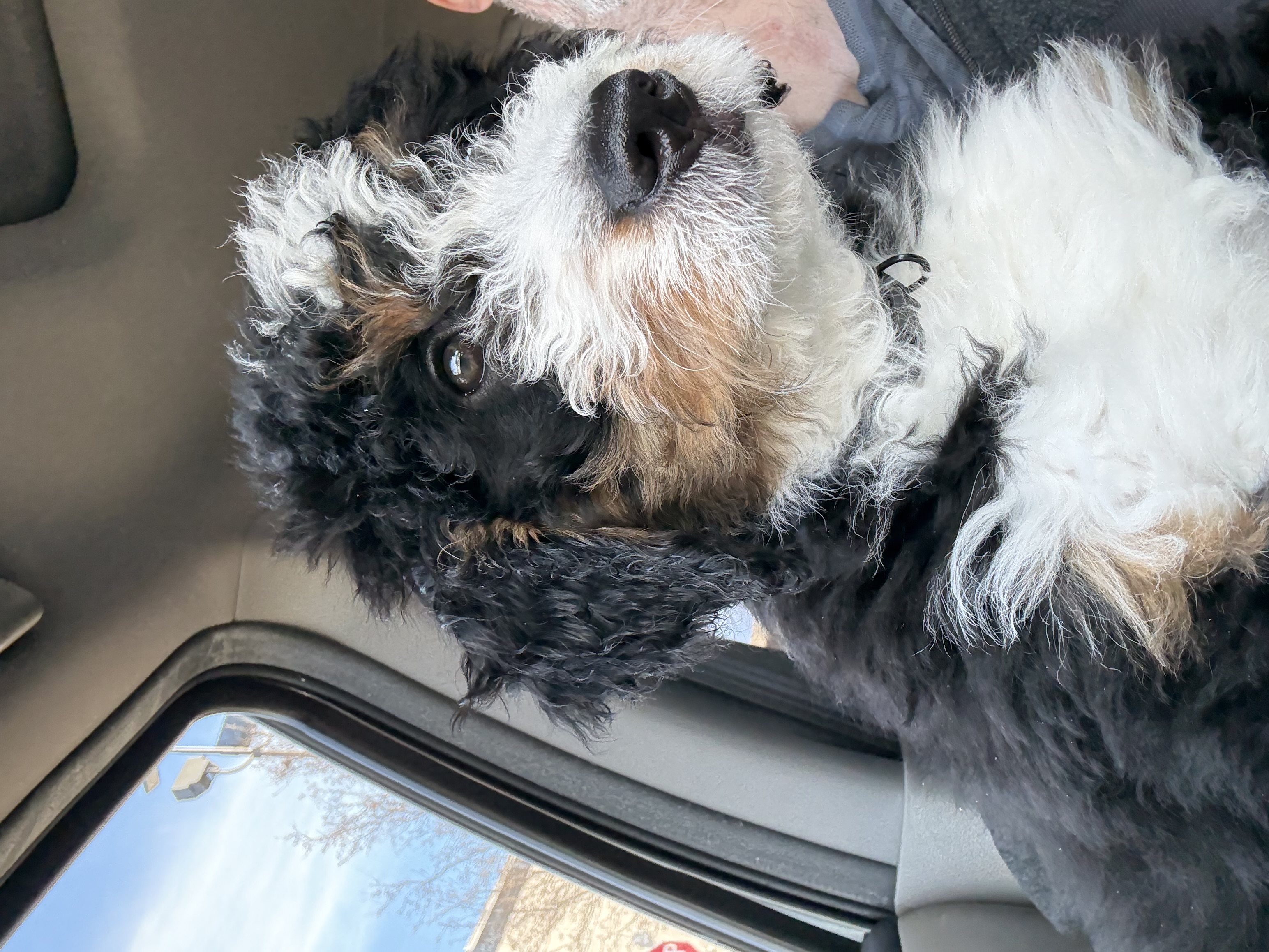 Photo Review Submission from Robert Preston