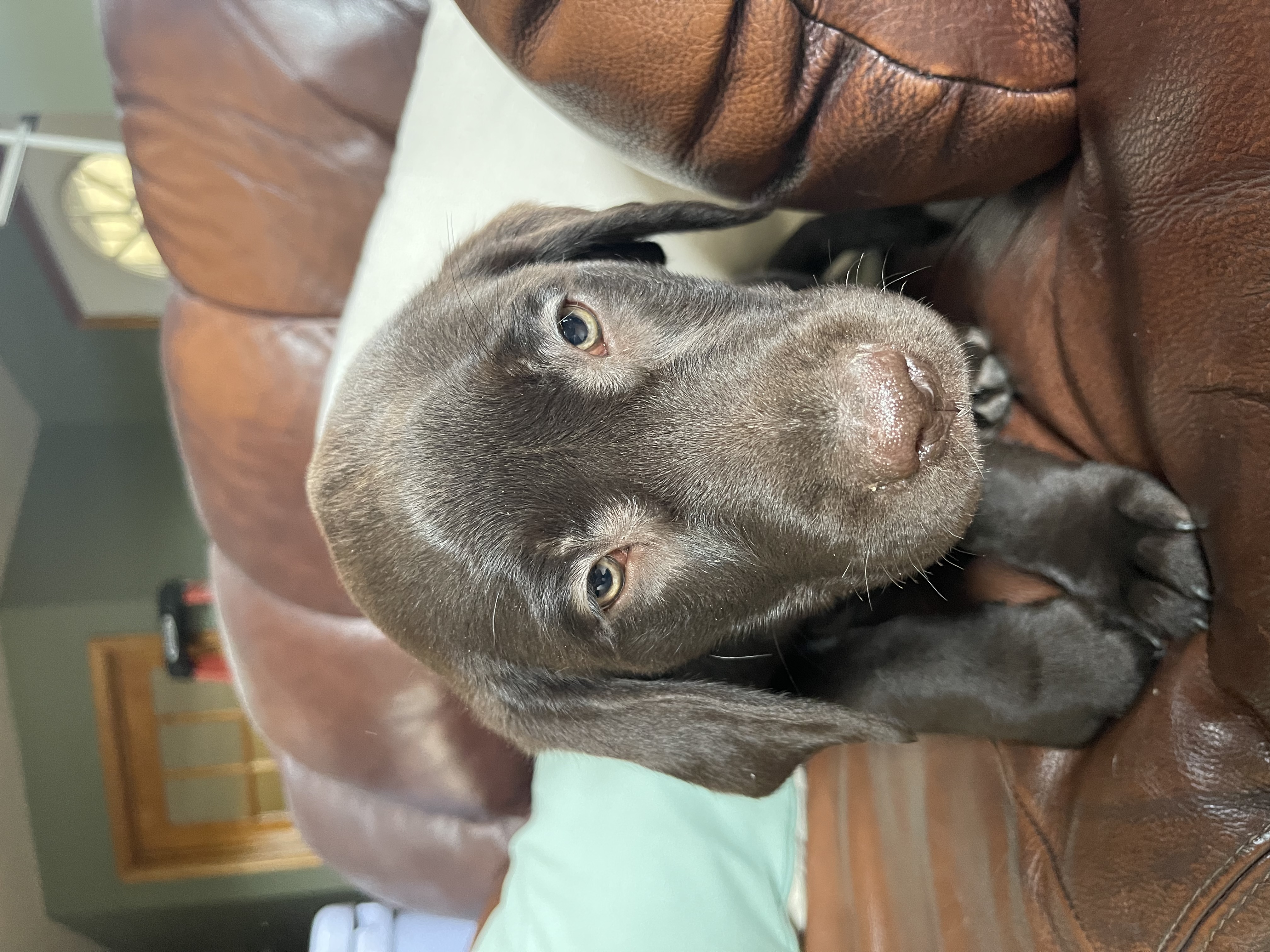 Photo Review Submission from Raymond Conklin