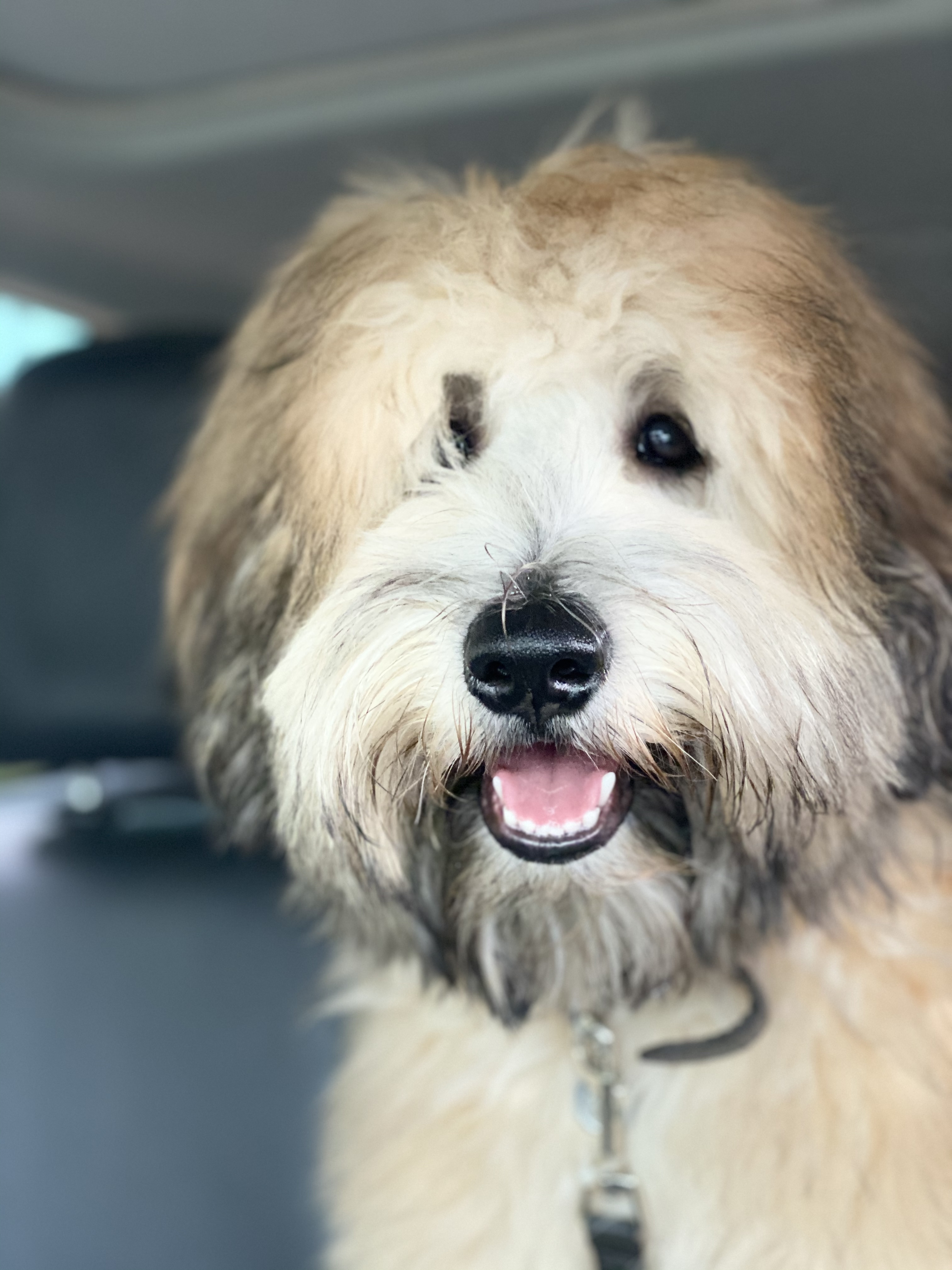 Photo Review Submission from Kelleigh KKEARNS