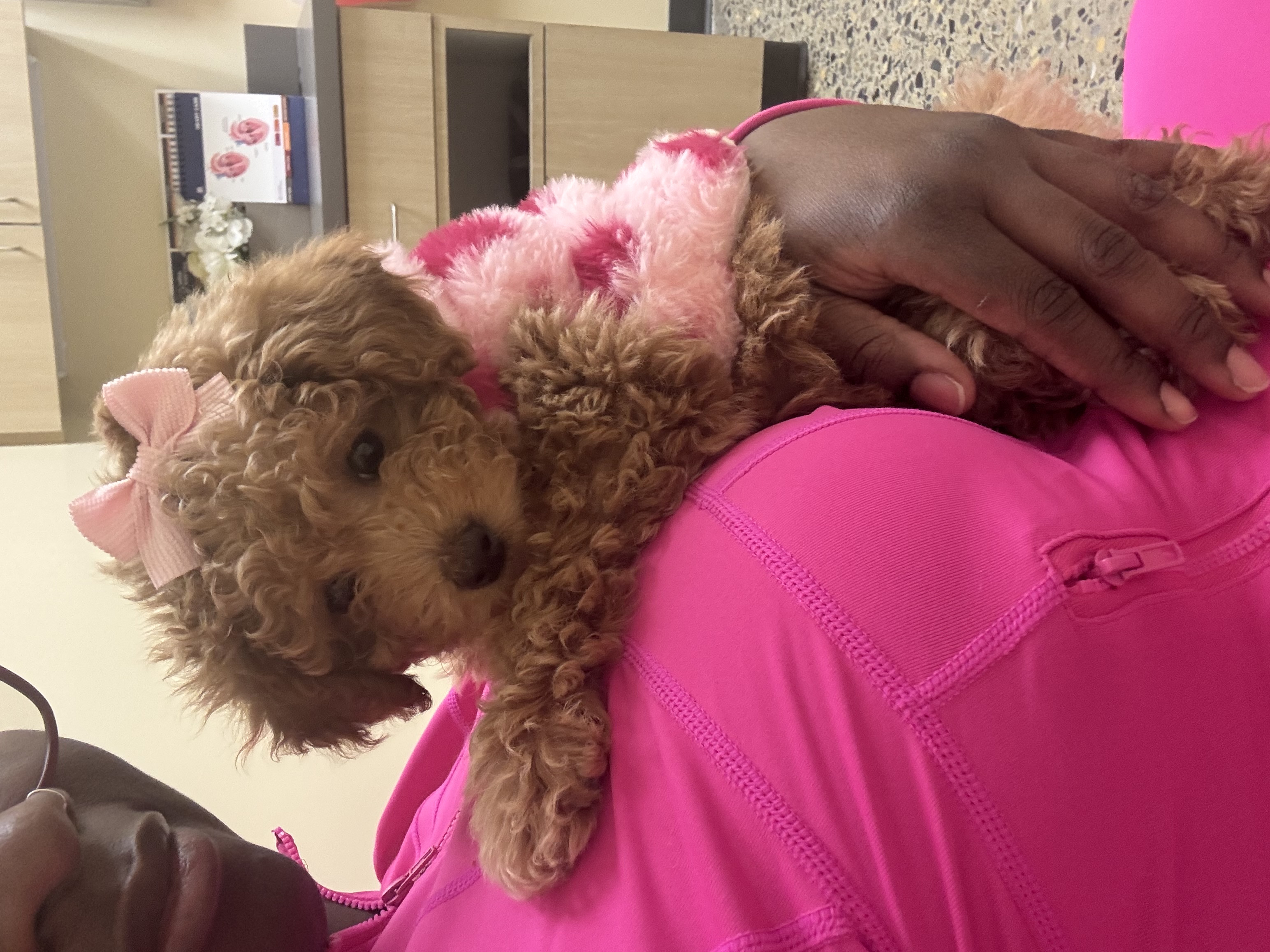 Photo Review Submission from Bre Douglas