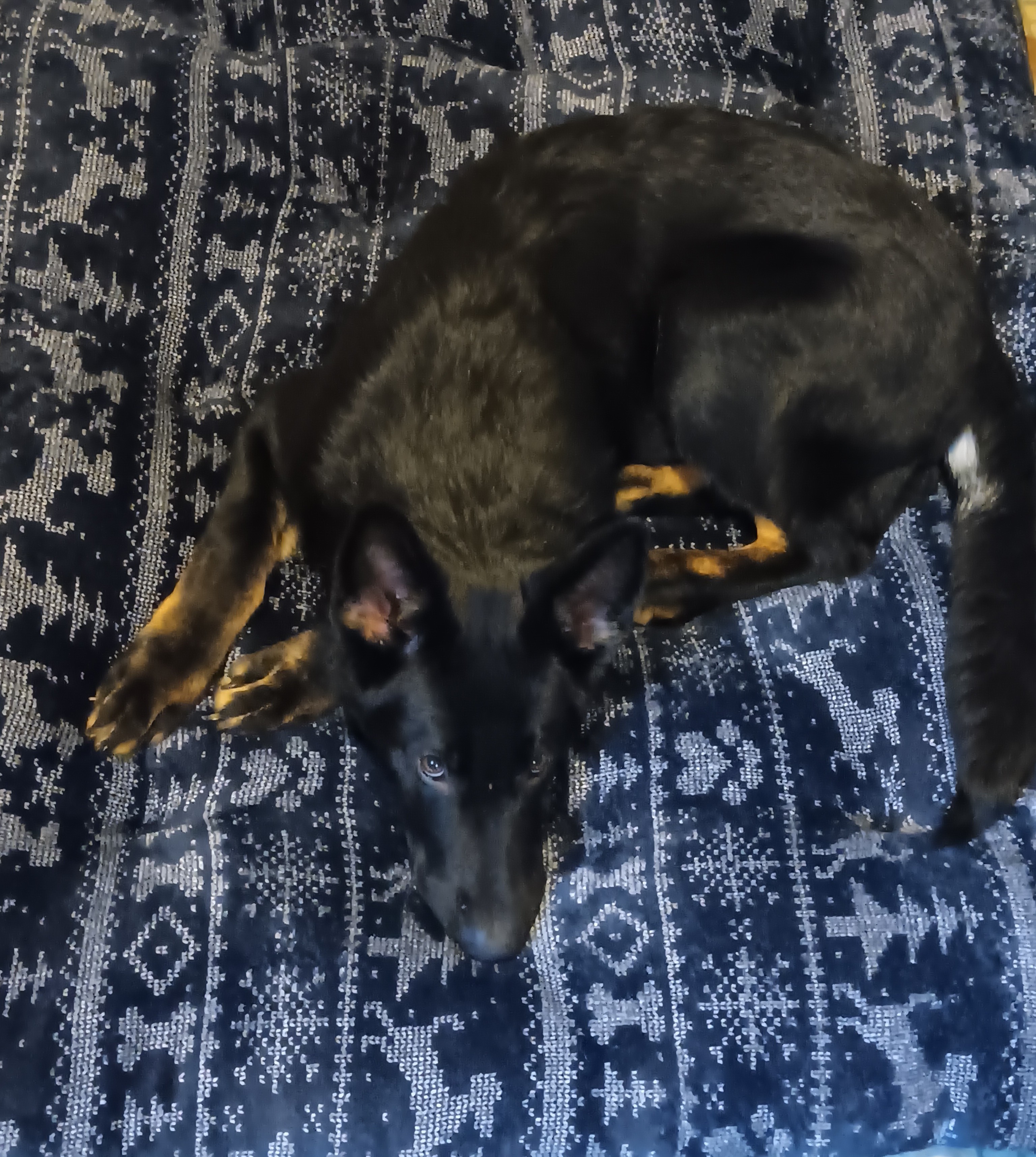 Photo Review Submission from Stacy R